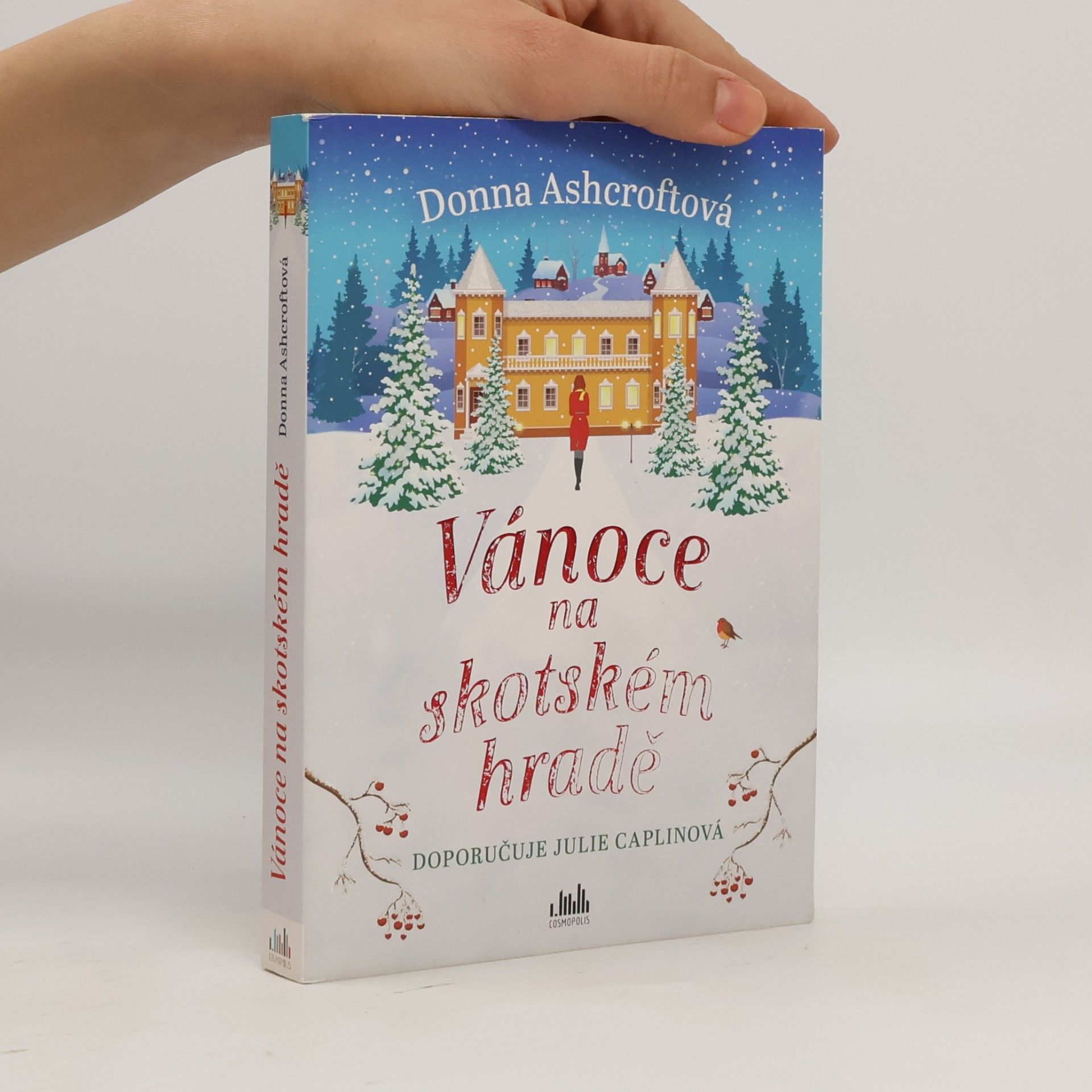 Donna Ashcroft Vánoce na skotském hradě