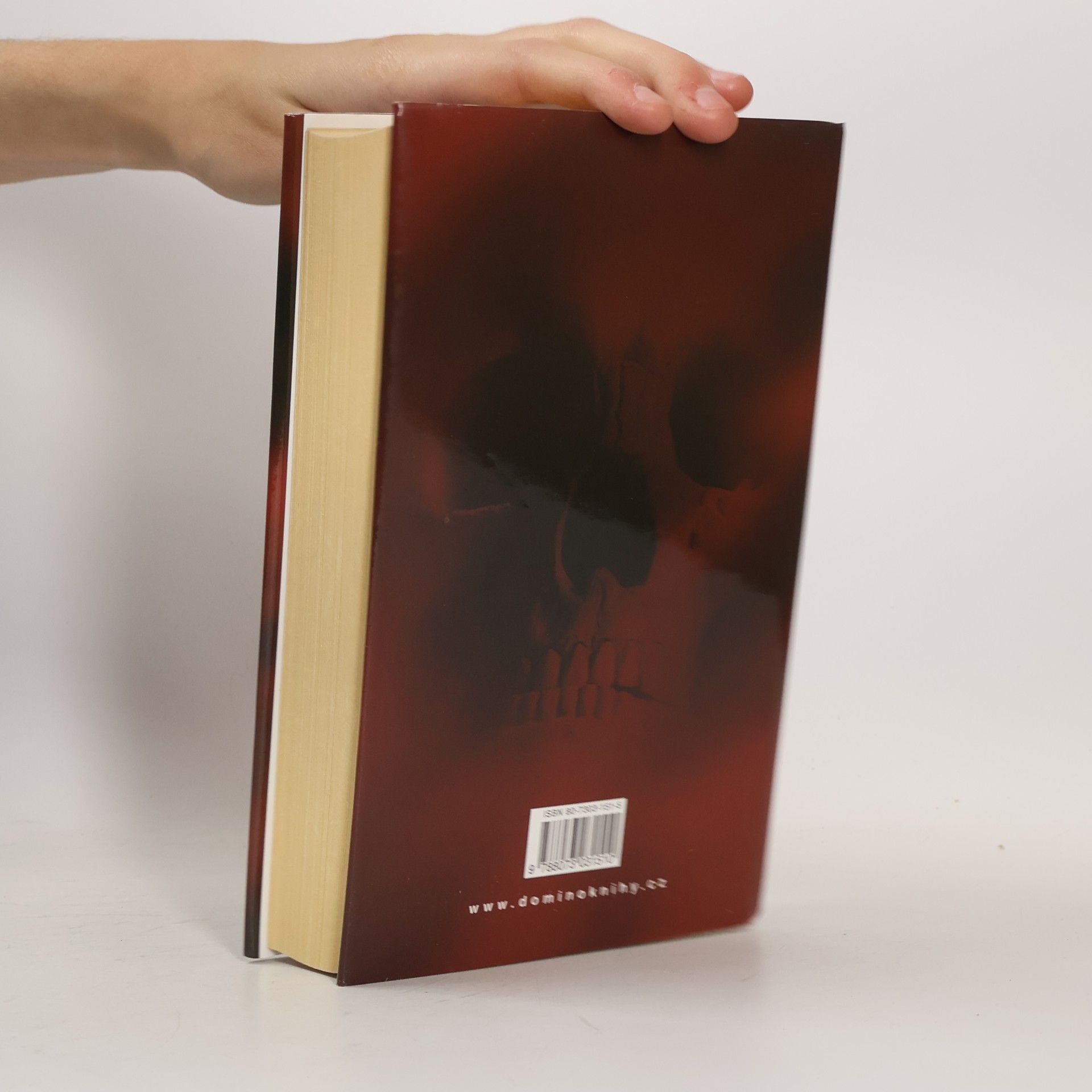 Jeffery Deaver Iluze