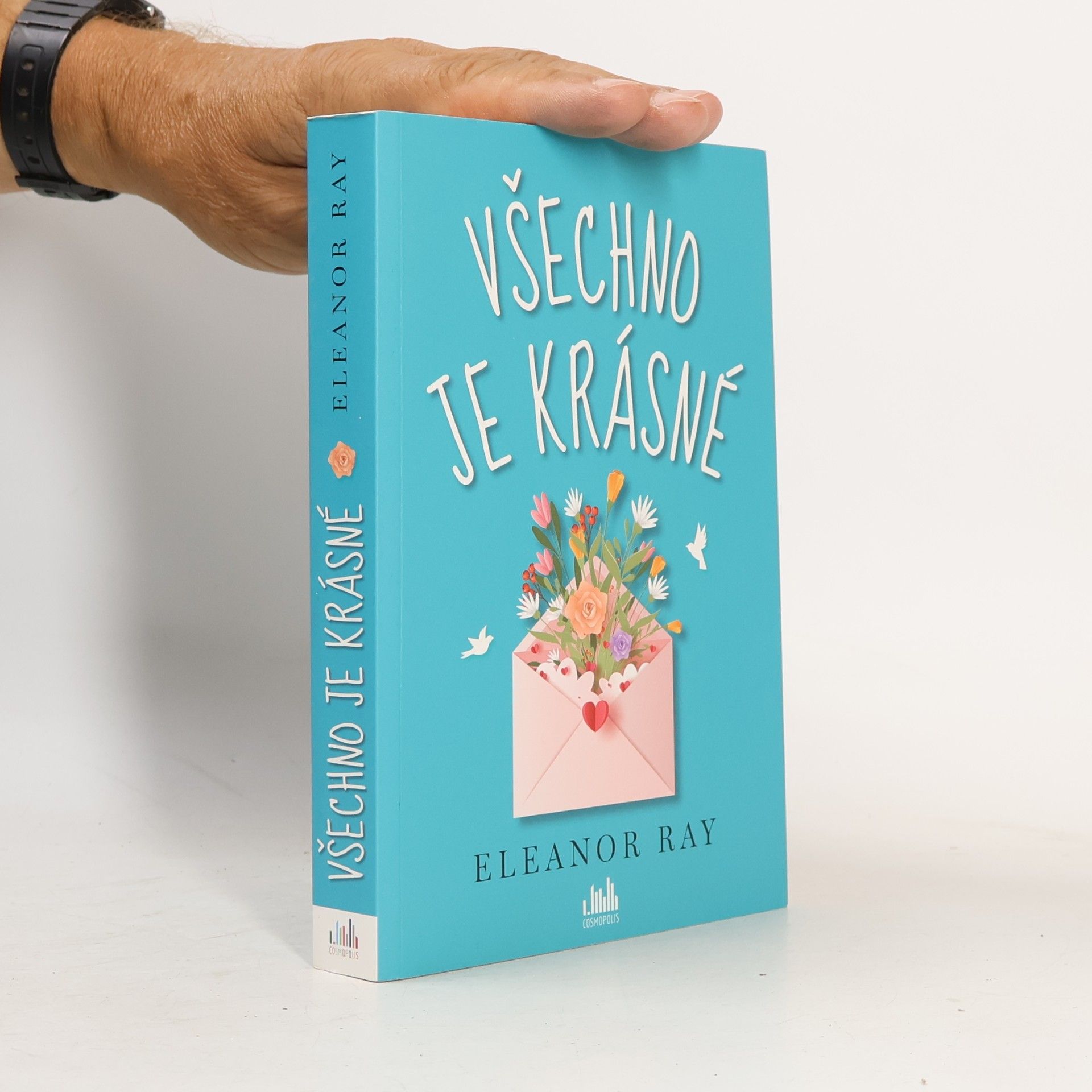 Eleanor Ray Všechno je krásné