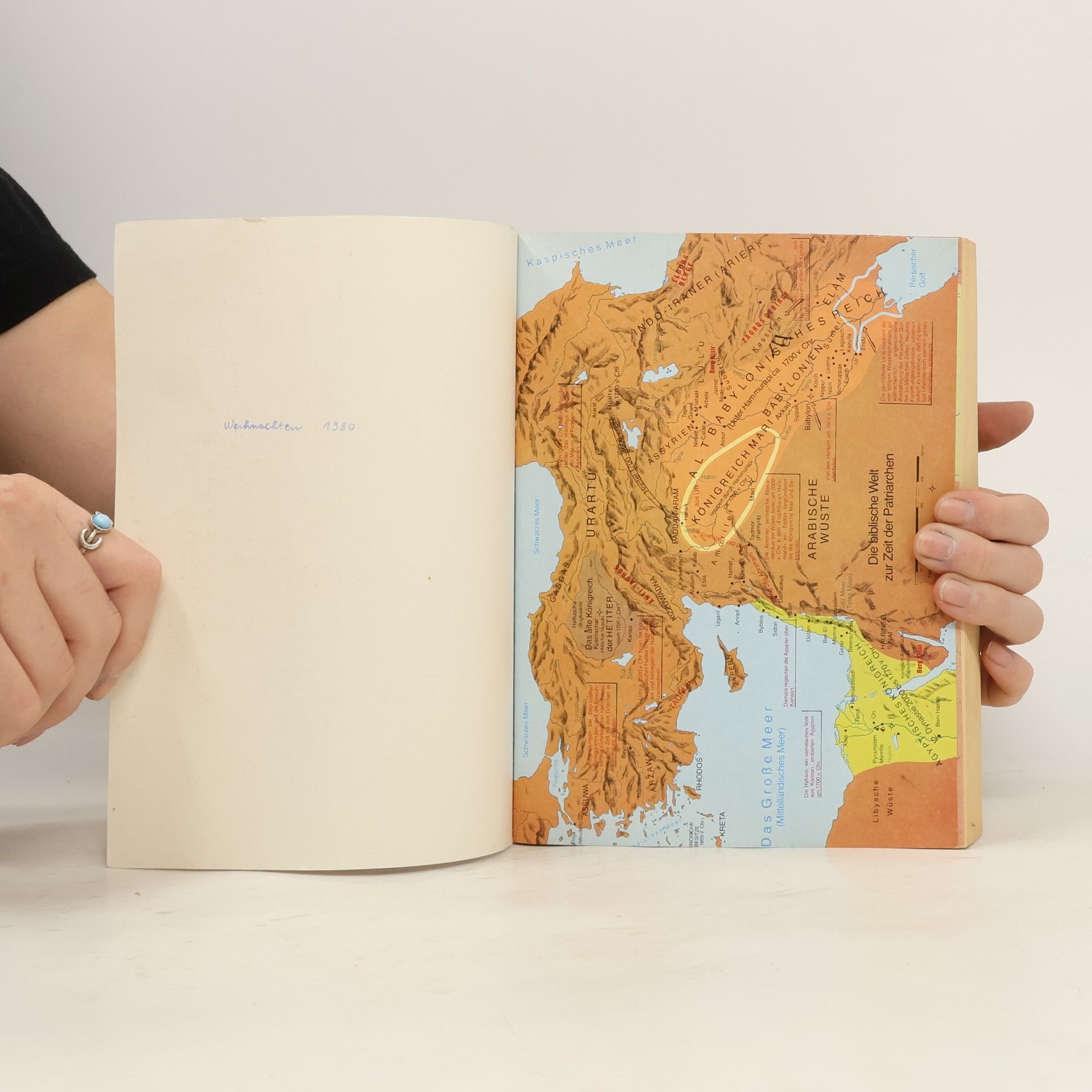 Kolektiv autorů Die Bibel