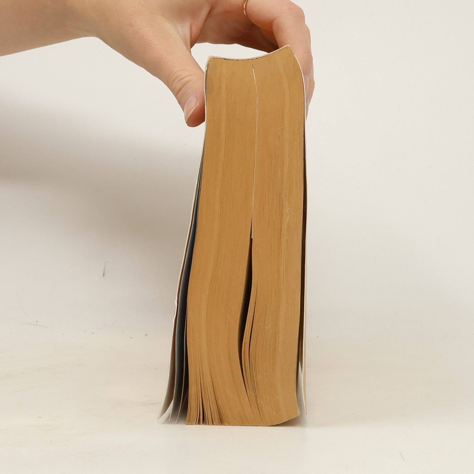 Kolektiv autorů Die Bibel
