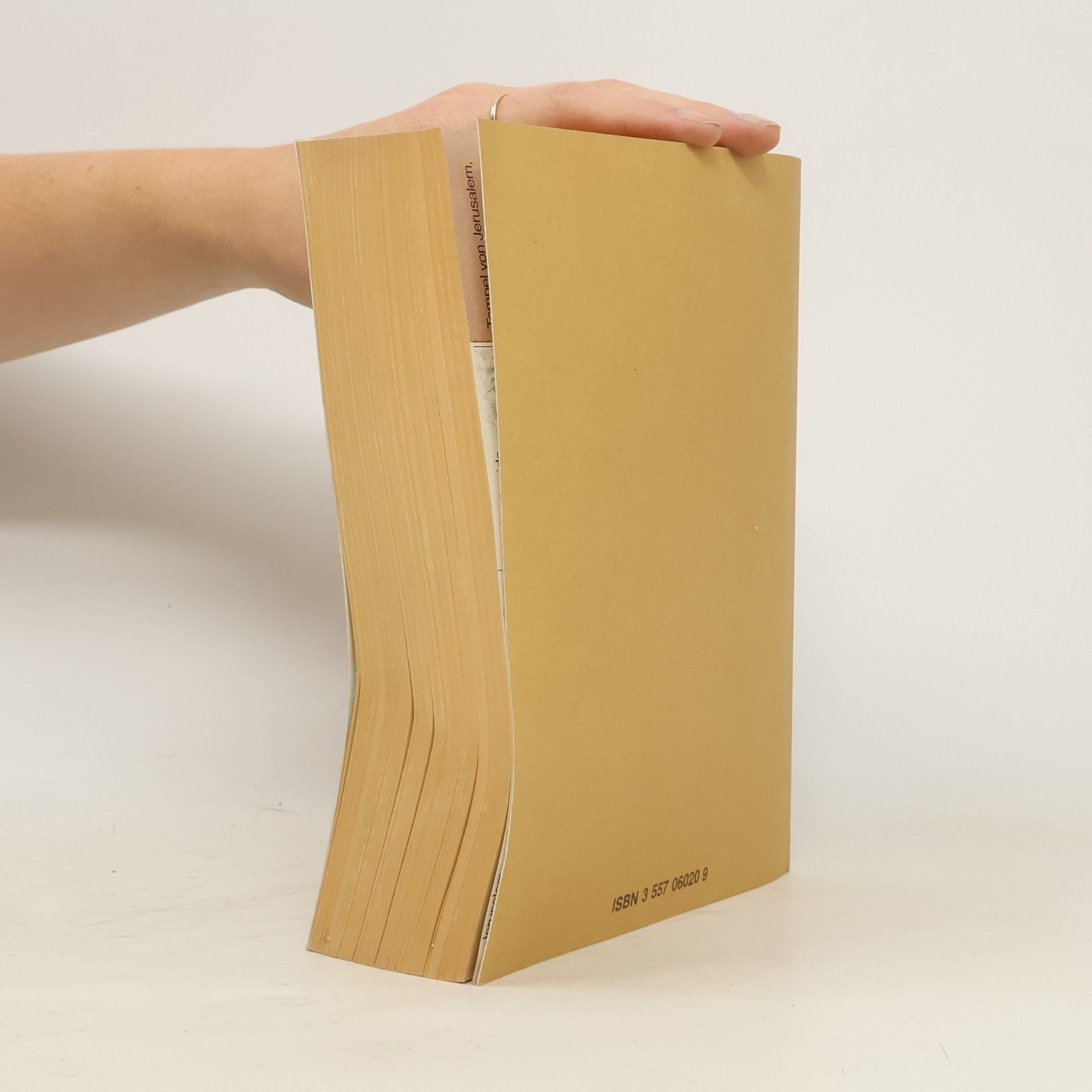 Kolektiv autorů Die Bibel
