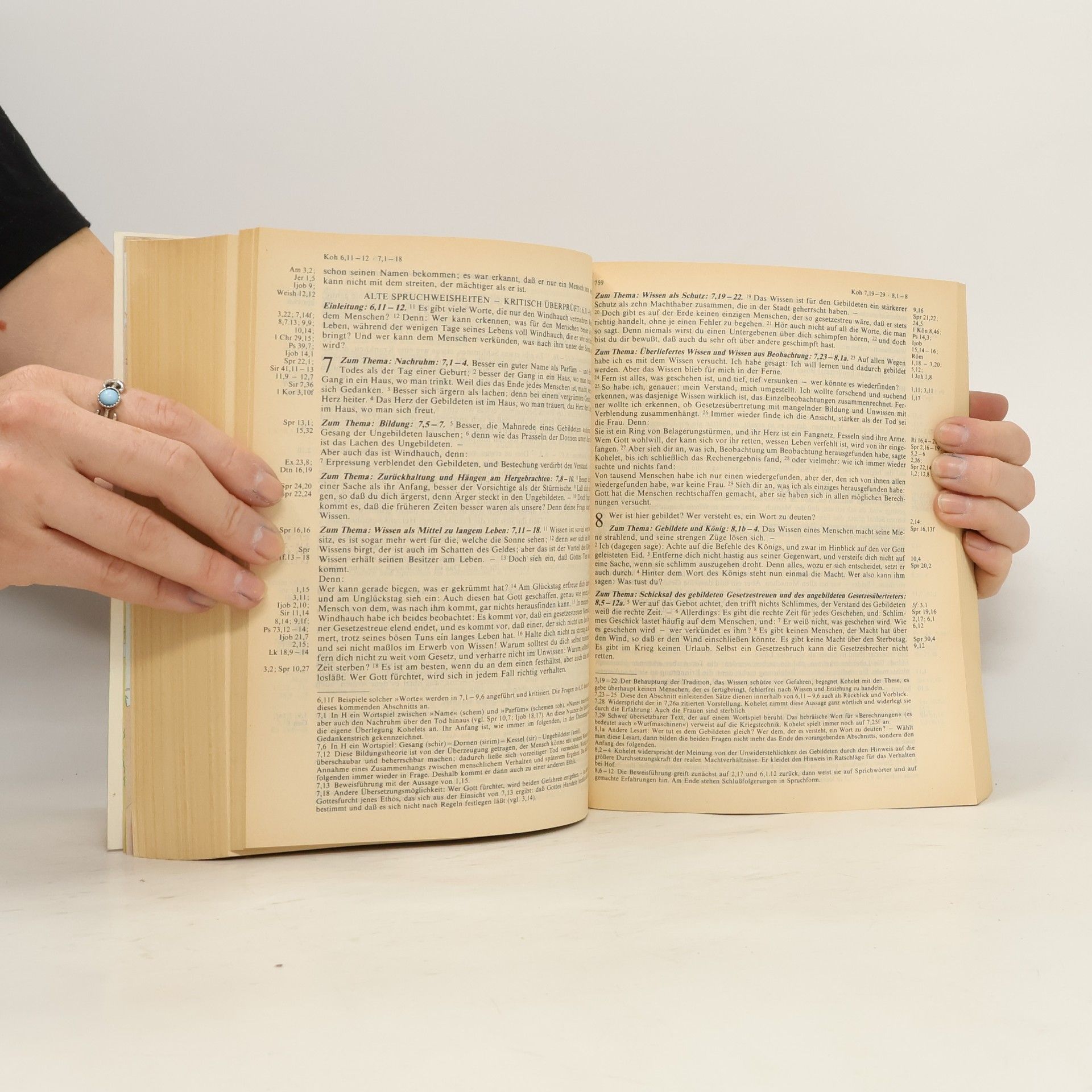 Kolektiv autorů Die Bibel