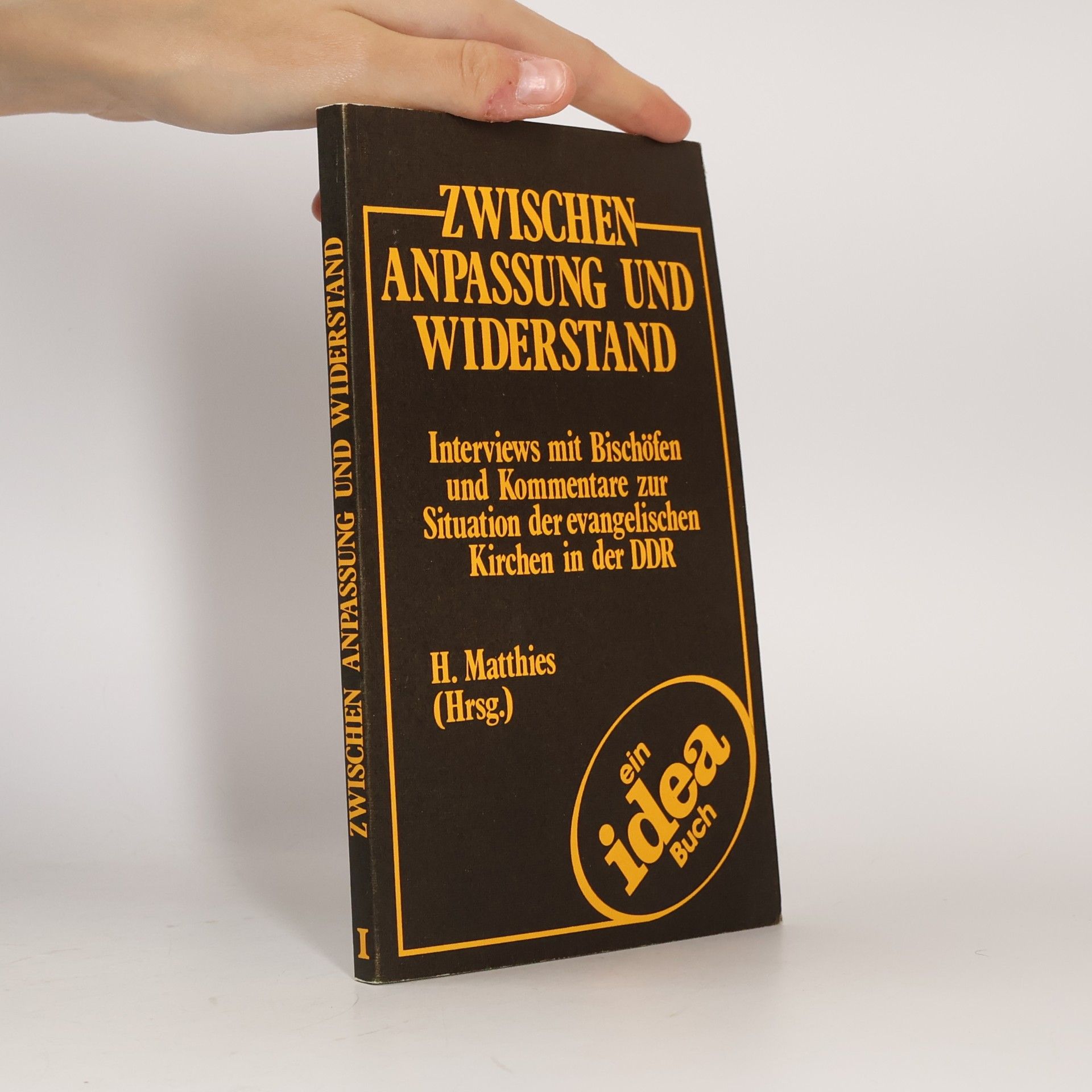 H. Matthiesen Zwischen Anpassung und Widerstand