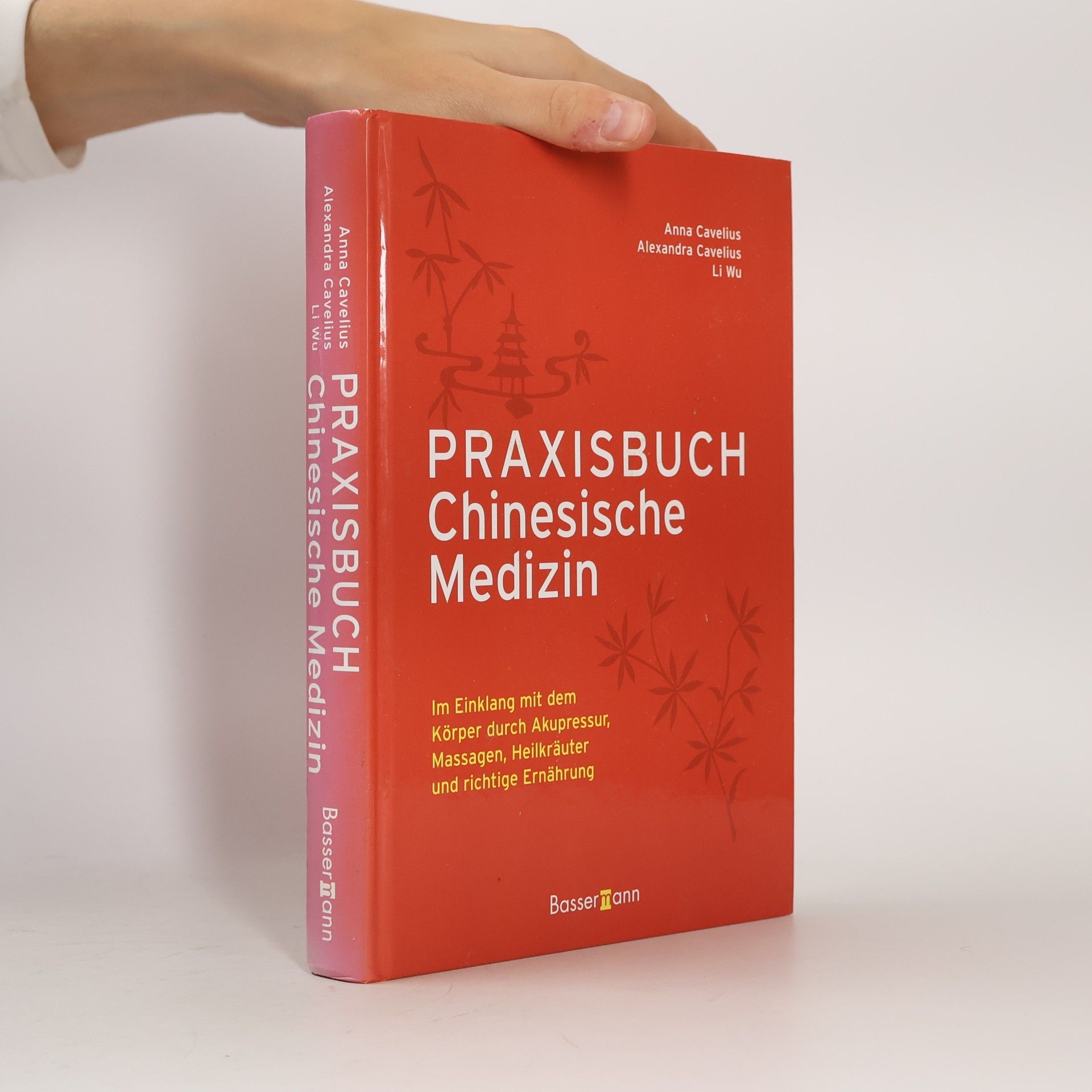 Andrea-Anna Cavelius Praxisbuch chinesische Medizin