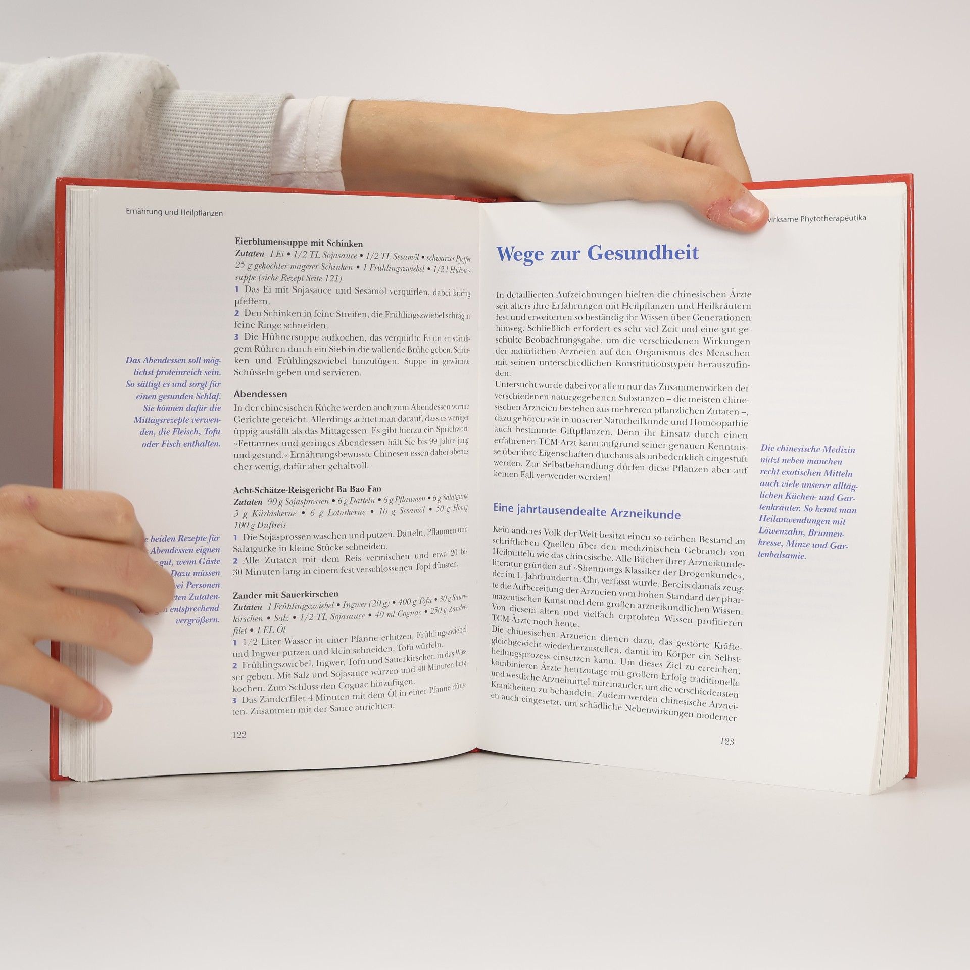 Andrea-Anna Cavelius Praxisbuch chinesische Medizin