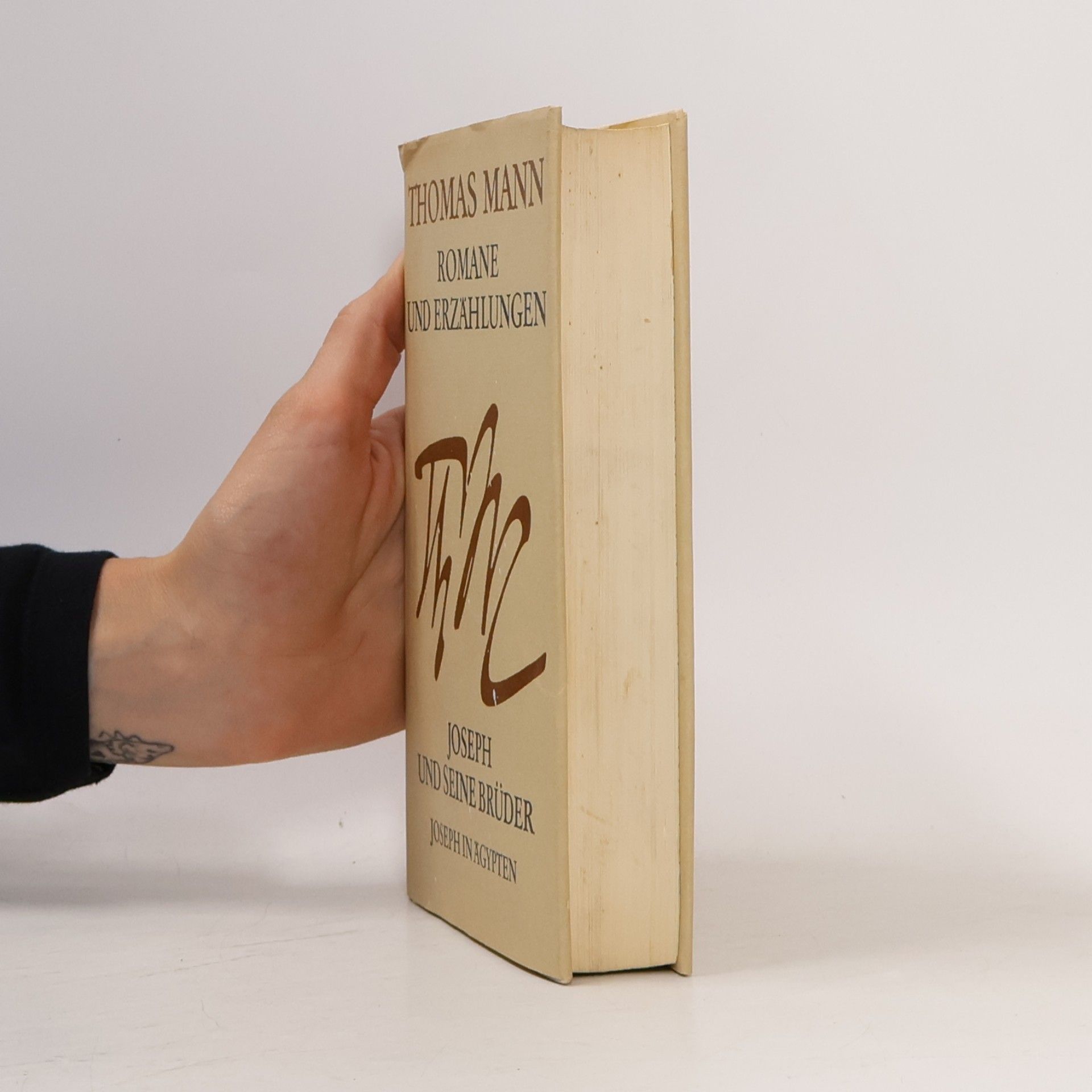 Thomas Mann Joseph und seine Brüder 4
