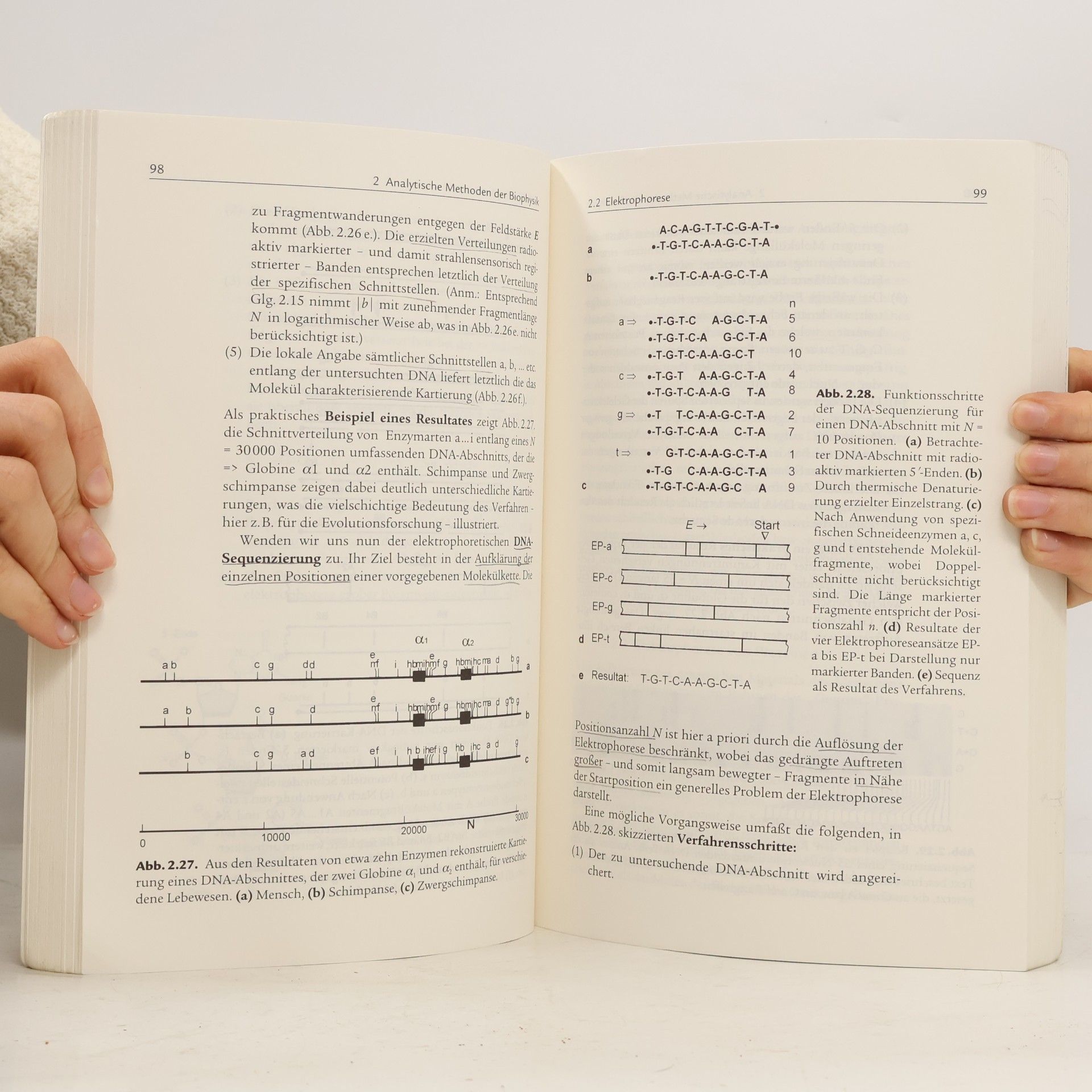 Helmut Pfützner Angewandte Biophysik (German Edition)