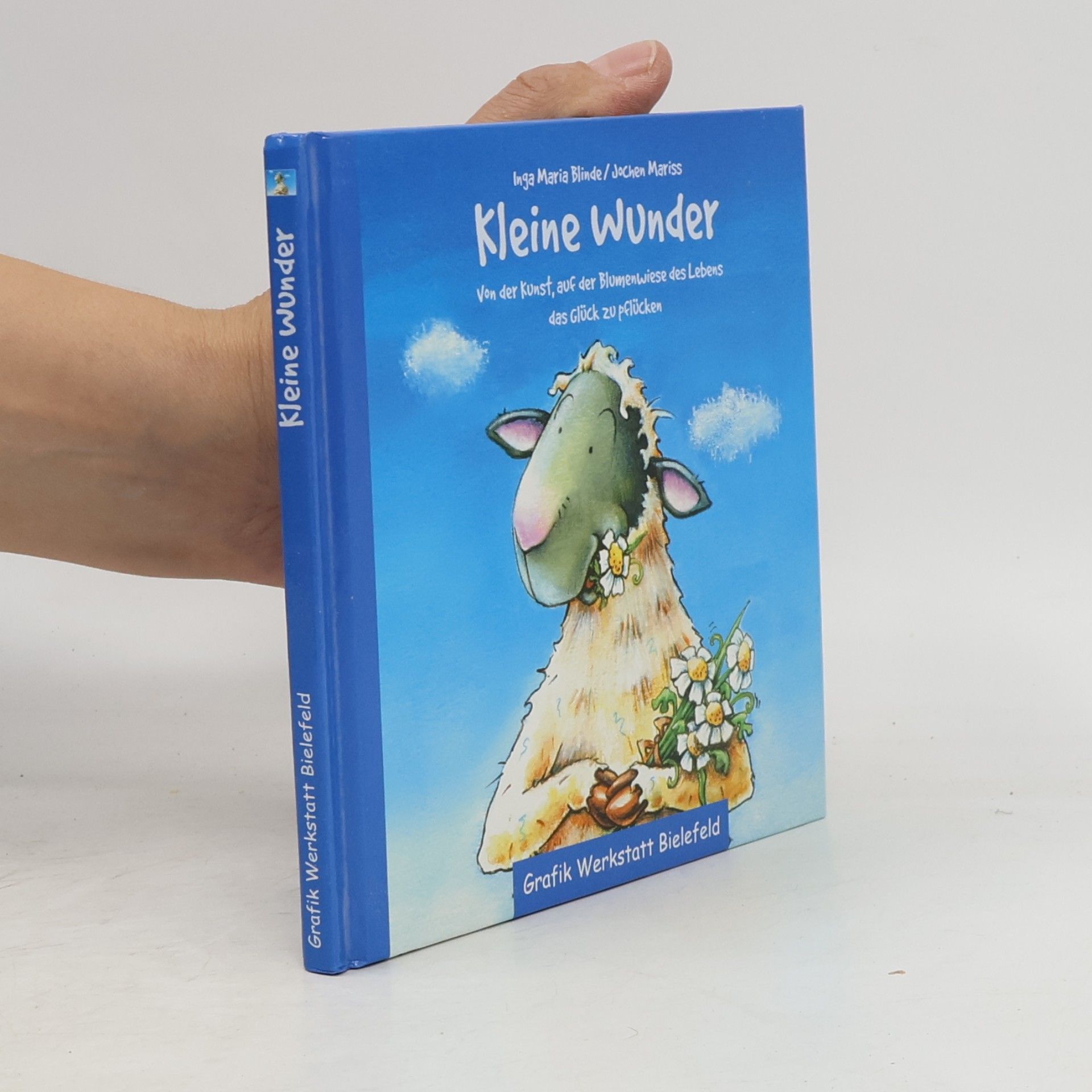 Kleine Wunder. Von der Kunst, auf der Blumenwiese des Lebens das Glück zu pflücken