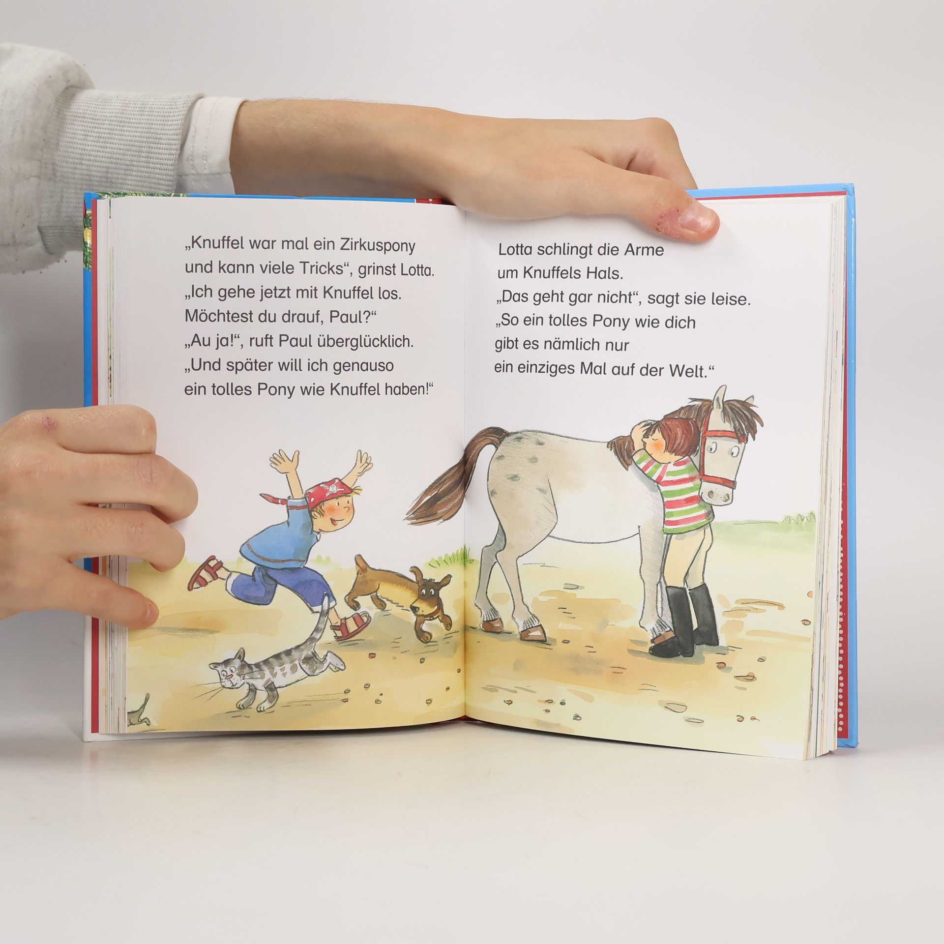 Berit Bach Lottas schönstes Ponyweihnachten