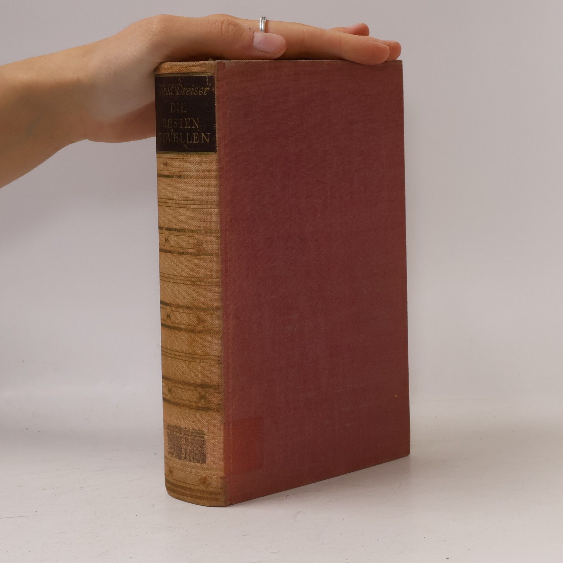 Theodore Dreiser Die besten novellen