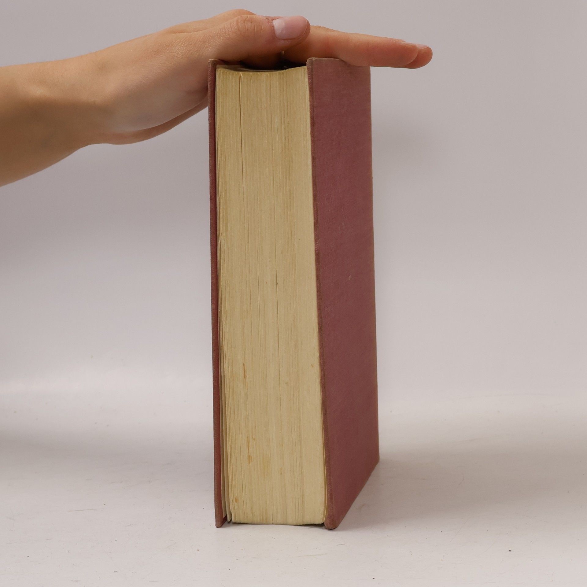 Theodore Dreiser Die besten novellen