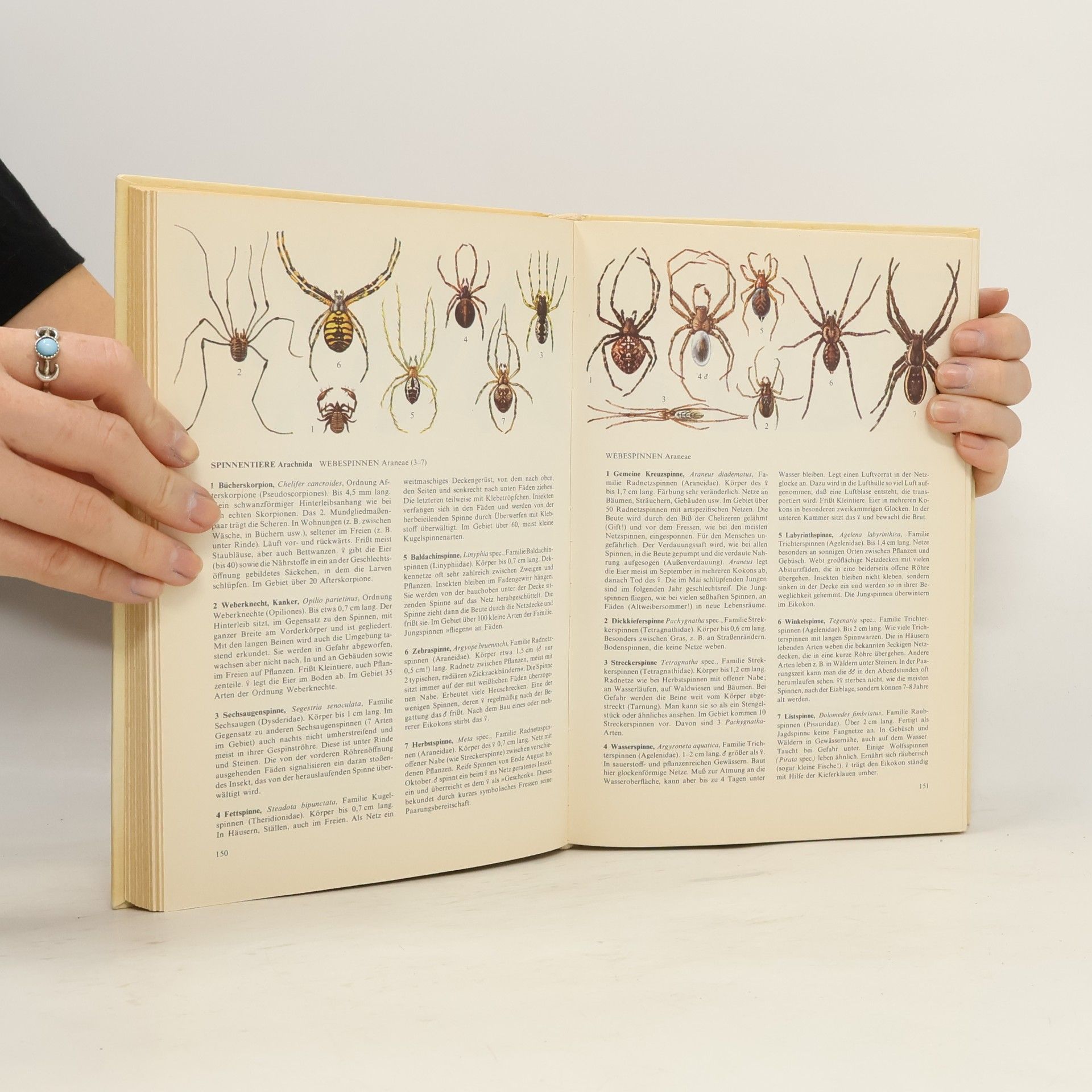 Johannes Breitmeier Pflanzen und Tiere