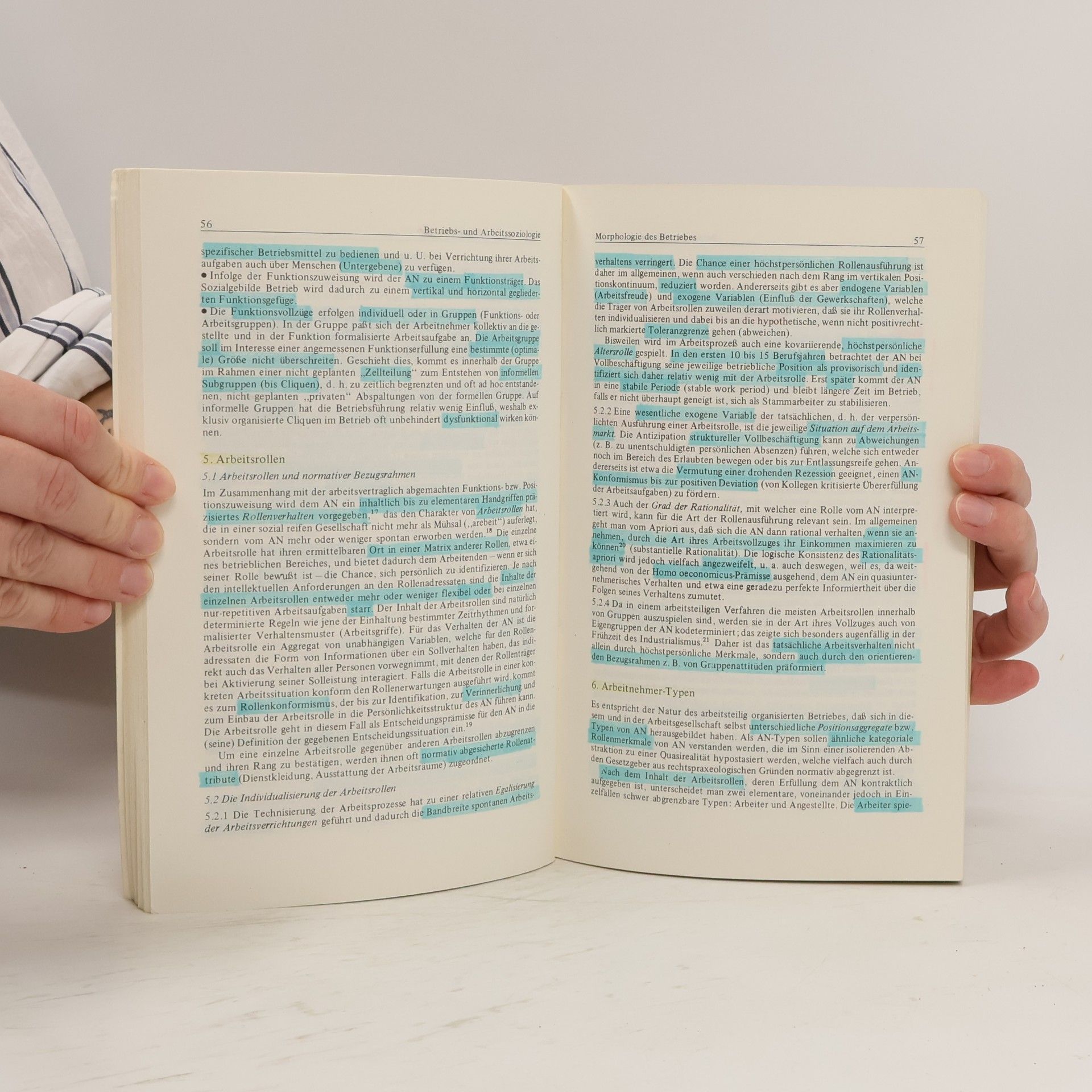Anton Burghardt Betriebs- und Arbeitssoziologie