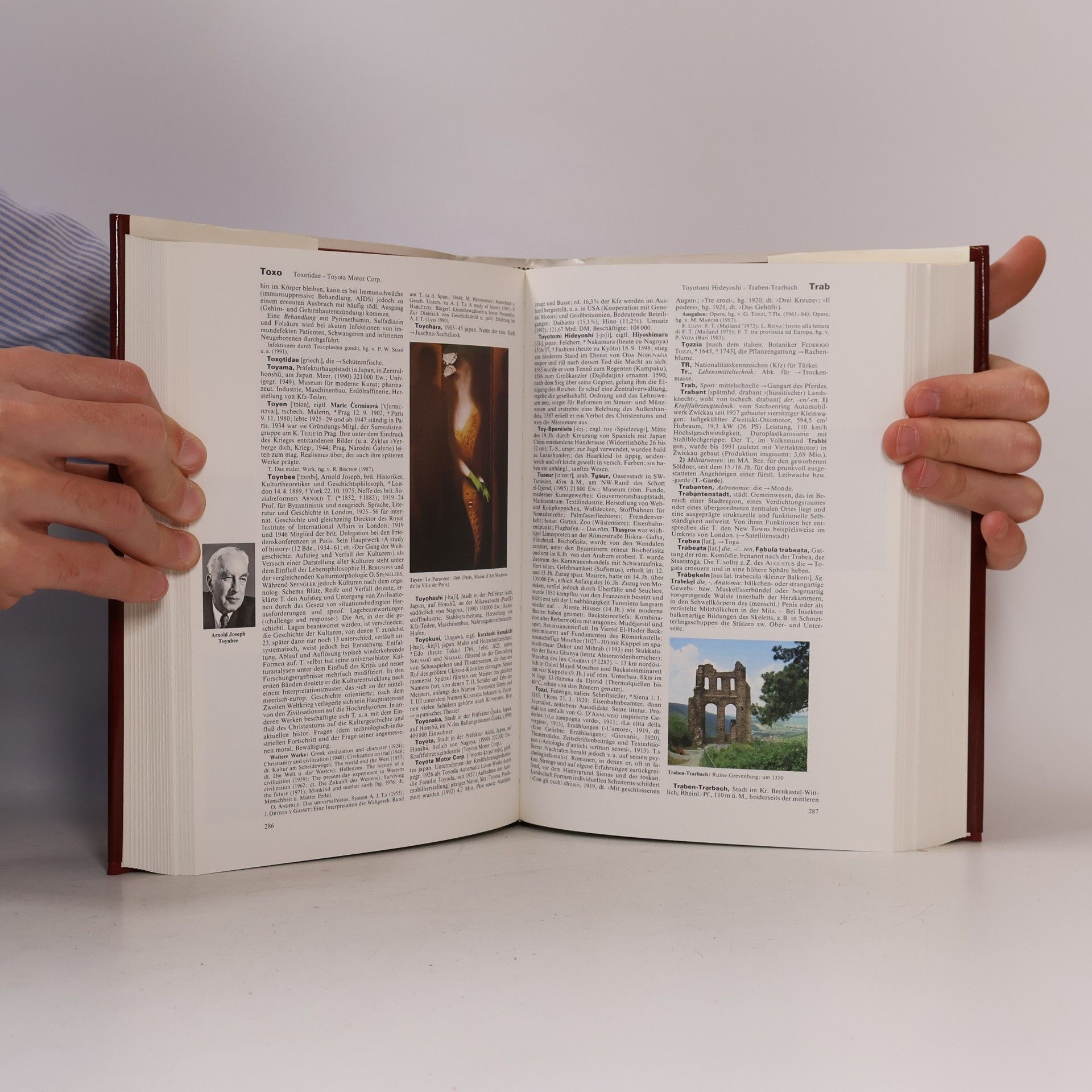 Autorenkollektiv Brockhaus Enzyklopädie 22 (Tep-Ur)