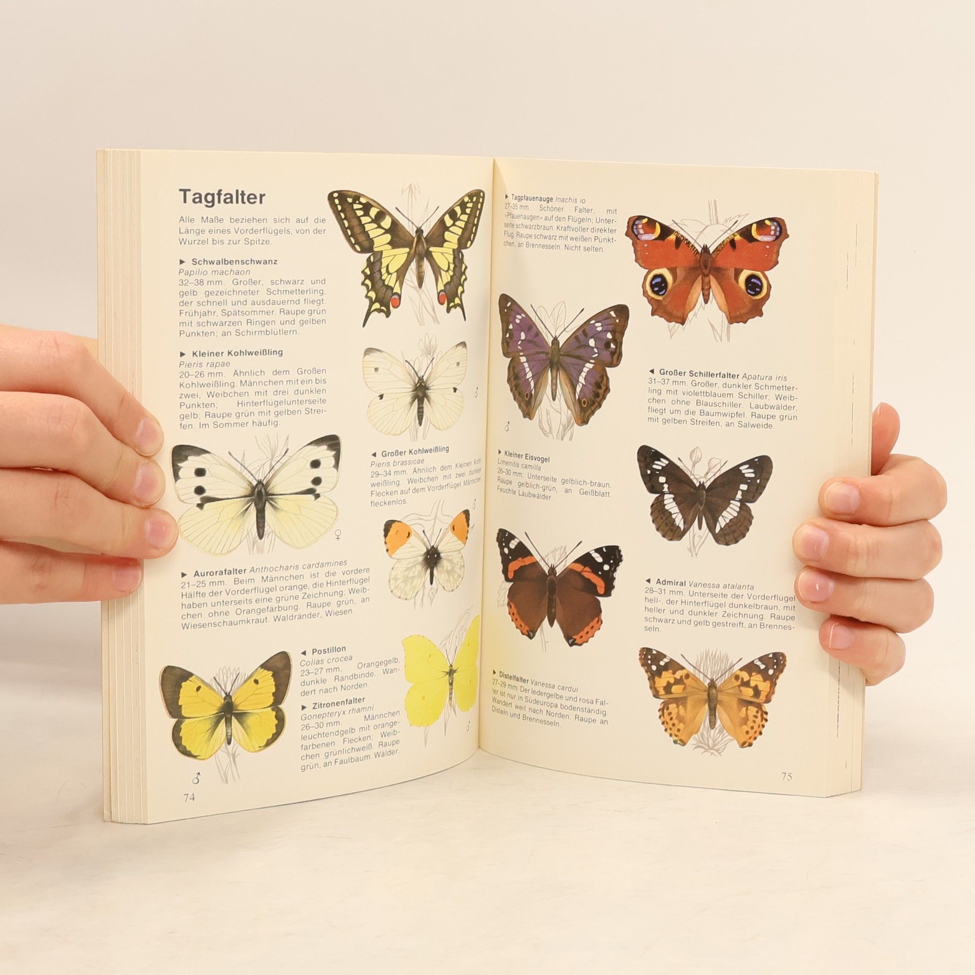 Jeanette Harris Die Tiere und Pflanzen Europas