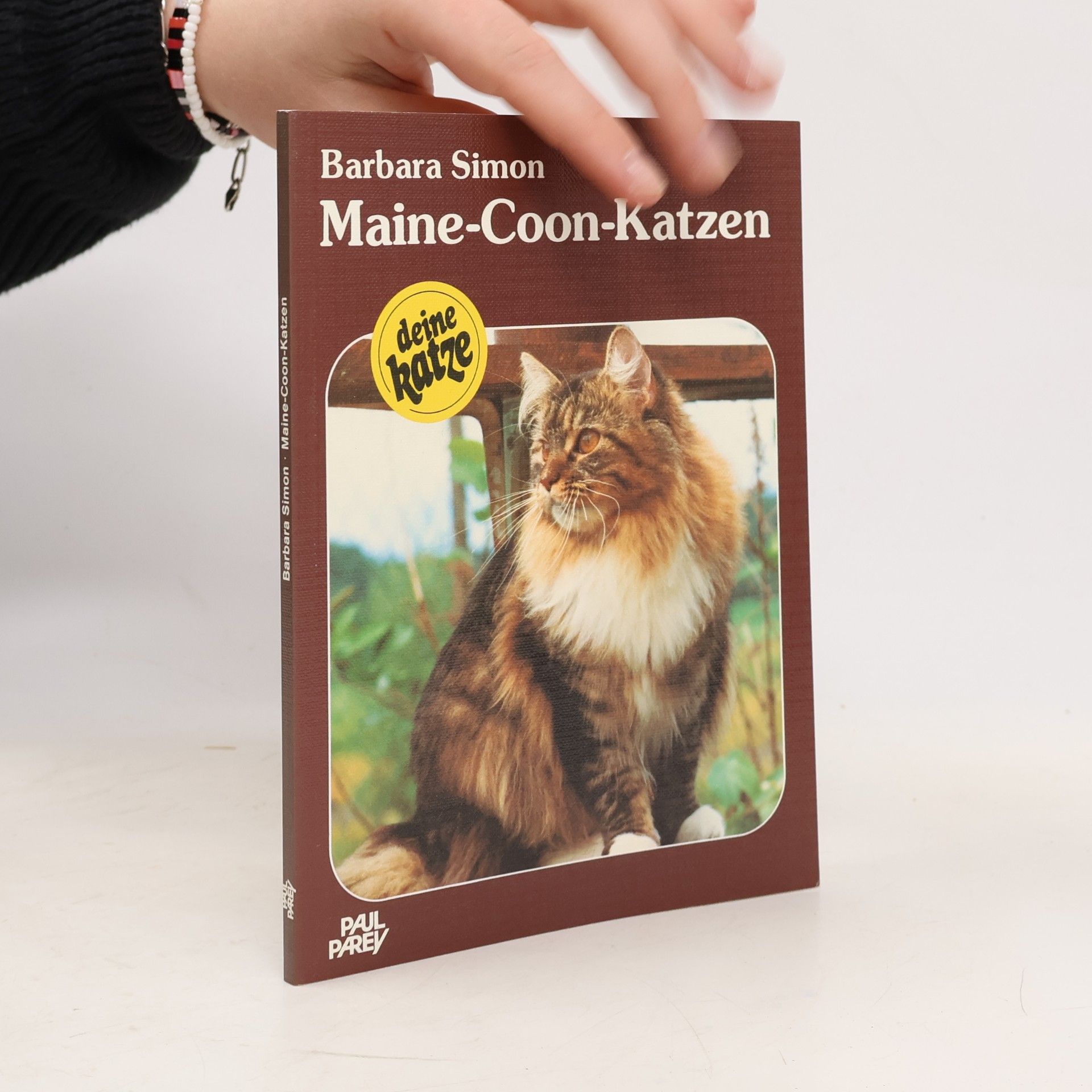 Barbara Simon Maine-Coon-Katzen