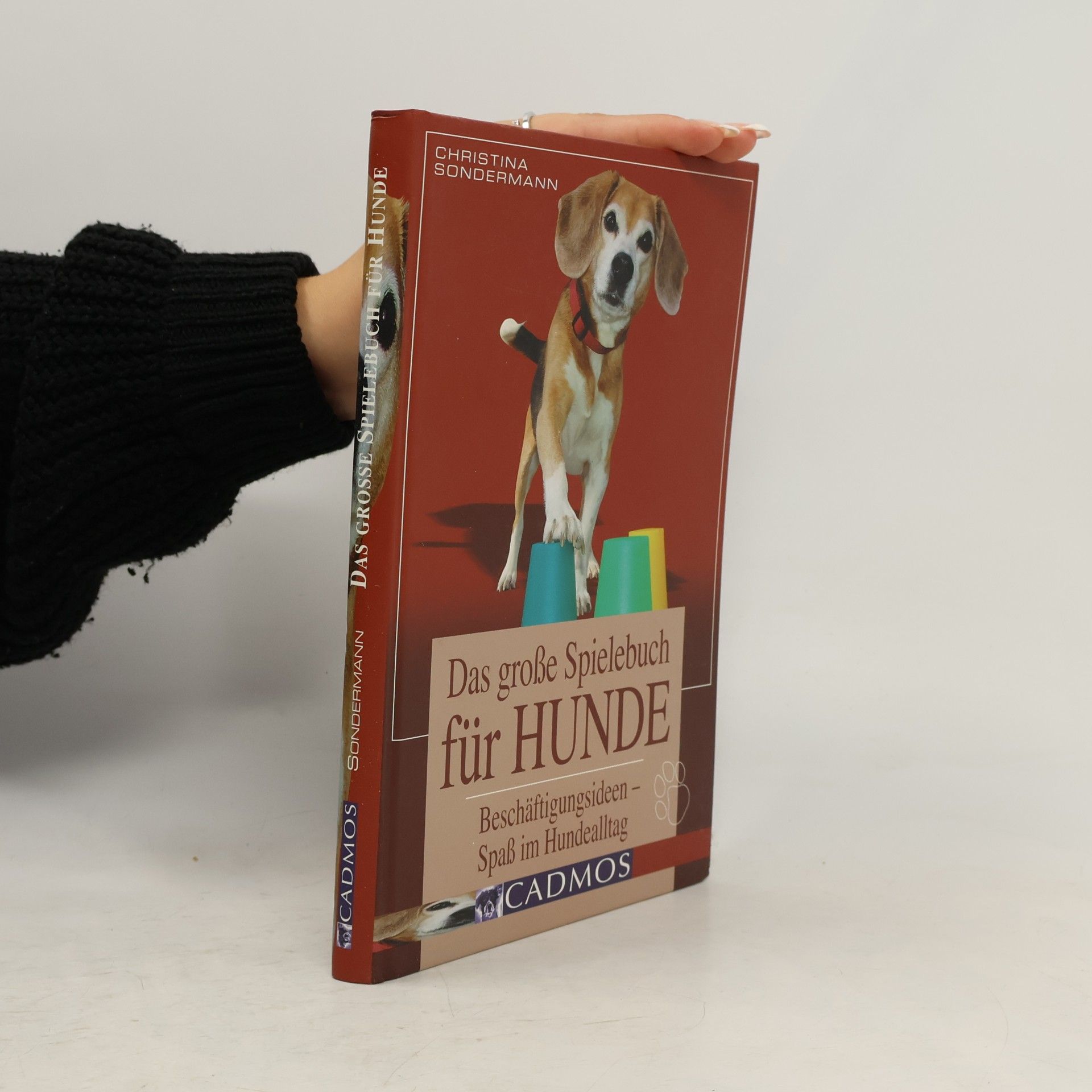 Christina Sondermann Das große Spielebuch für Hunde