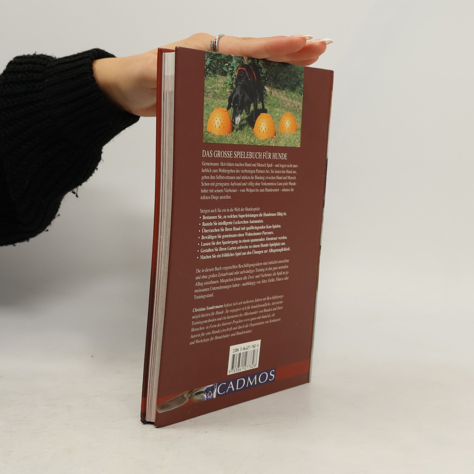 Christina Sondermann Das große Spielebuch für Hunde