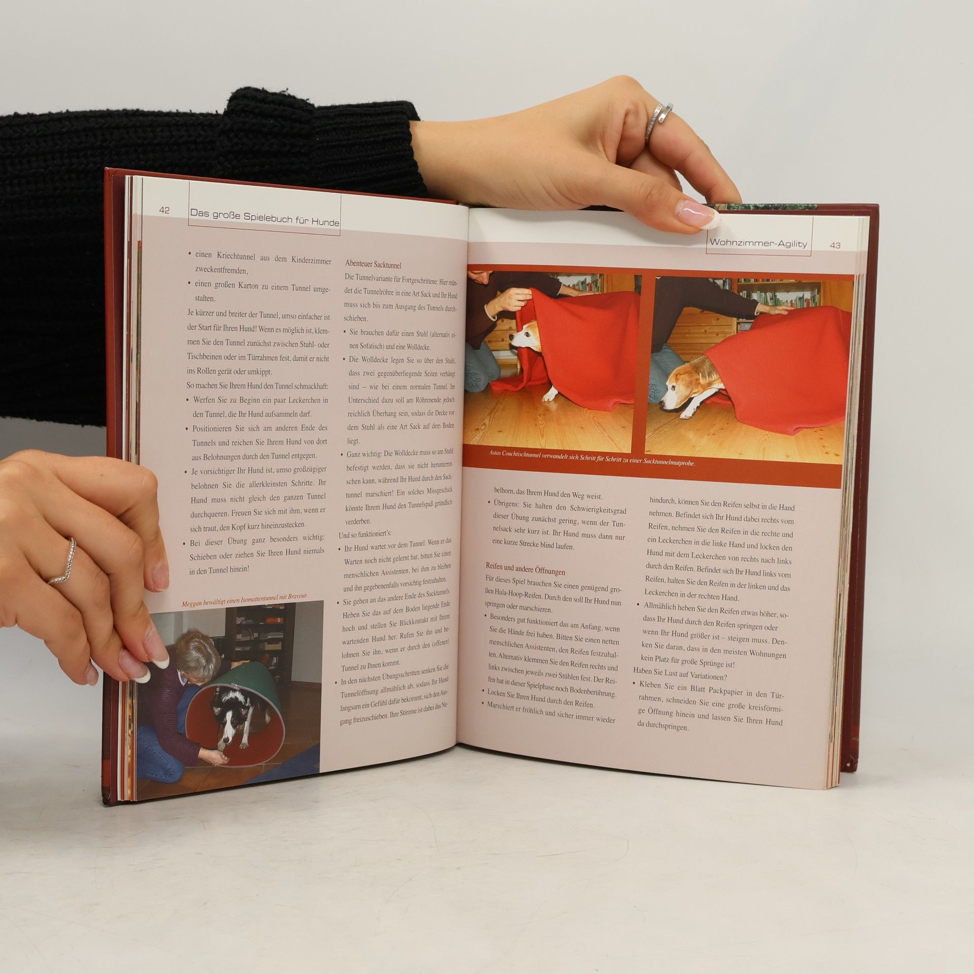 Christina Sondermann Das große Spielebuch für Hunde
