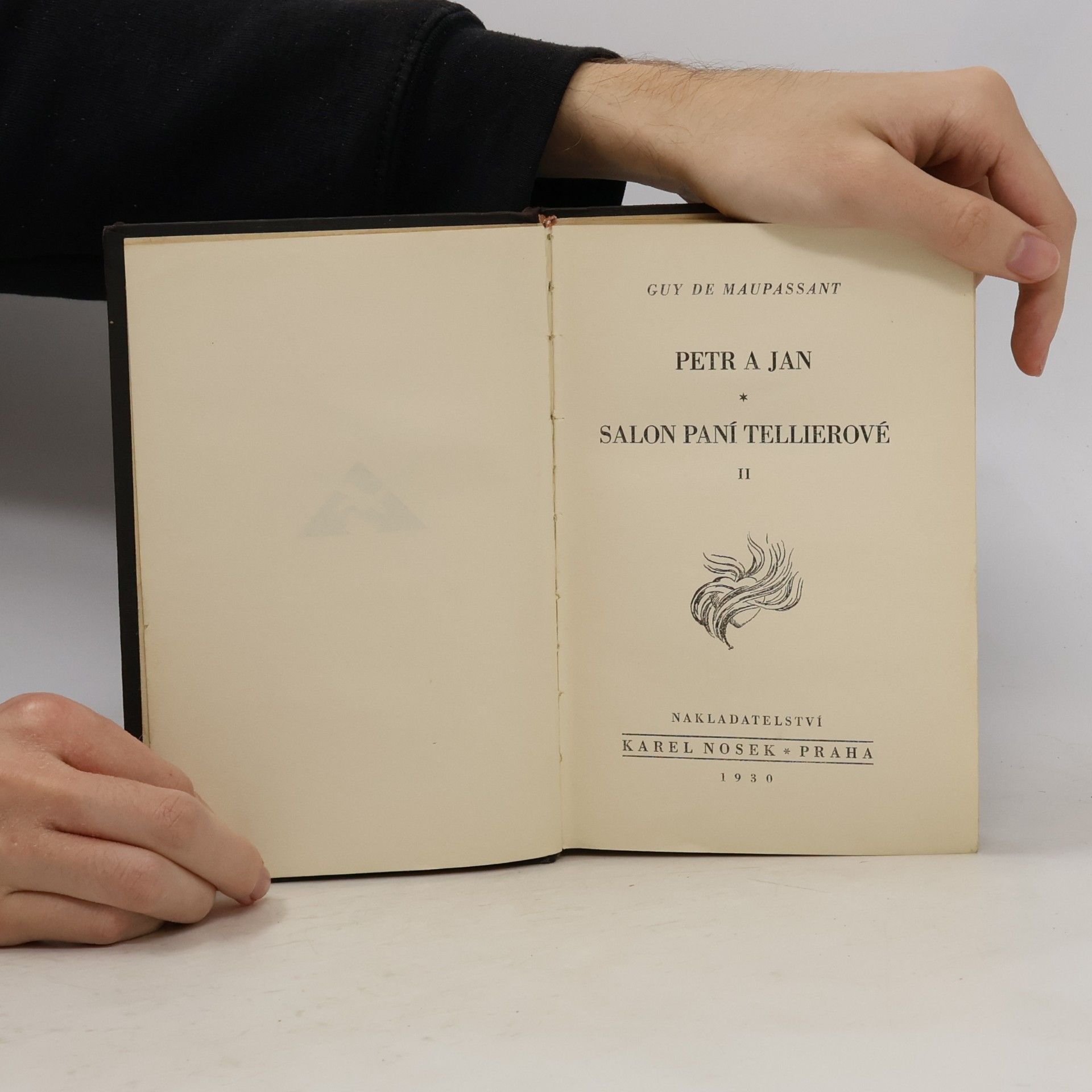 Guy de Maupassant Petr a Jan. Salon paní Tellierové II.