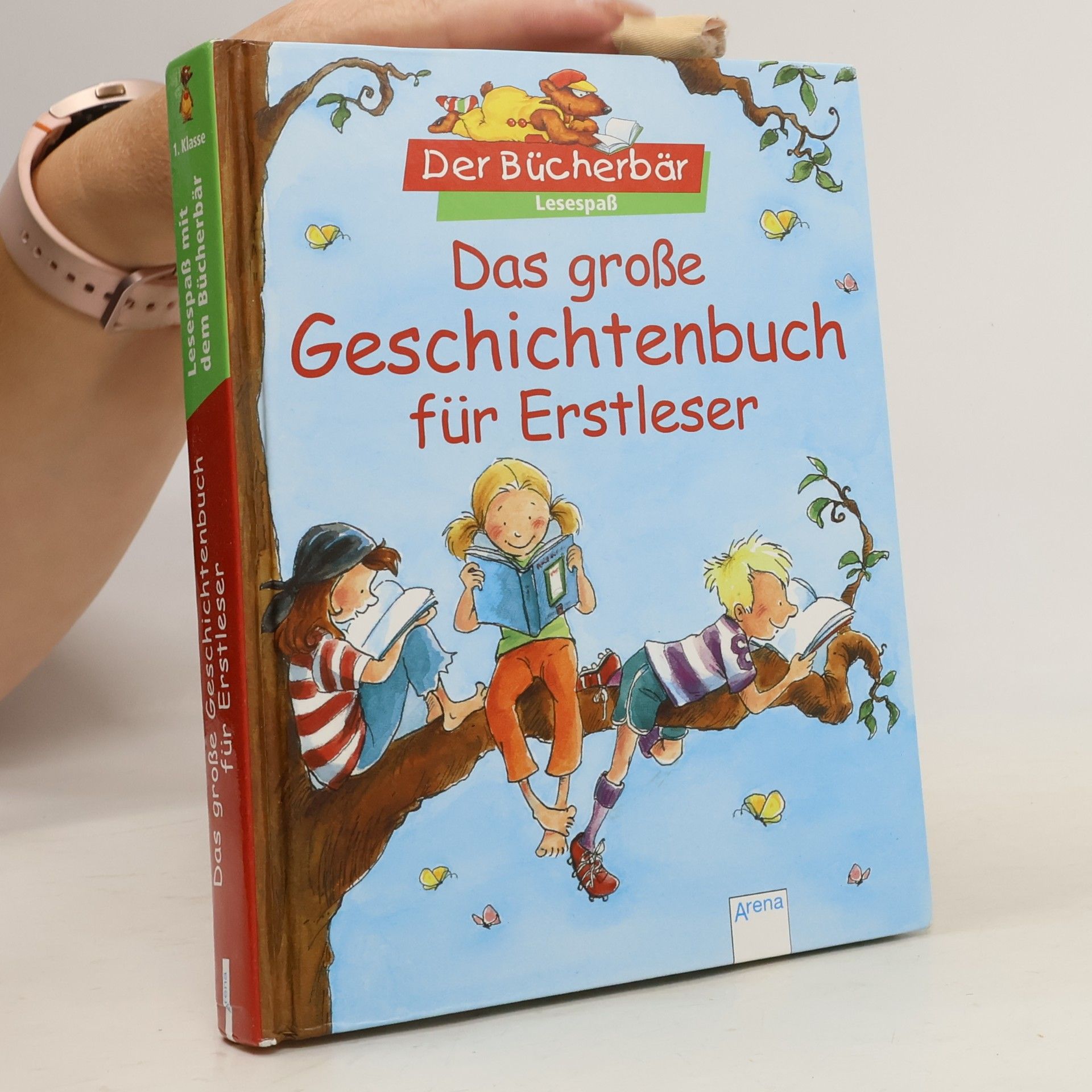 Autores varios Das große Geschichtenbuch für Erstleser