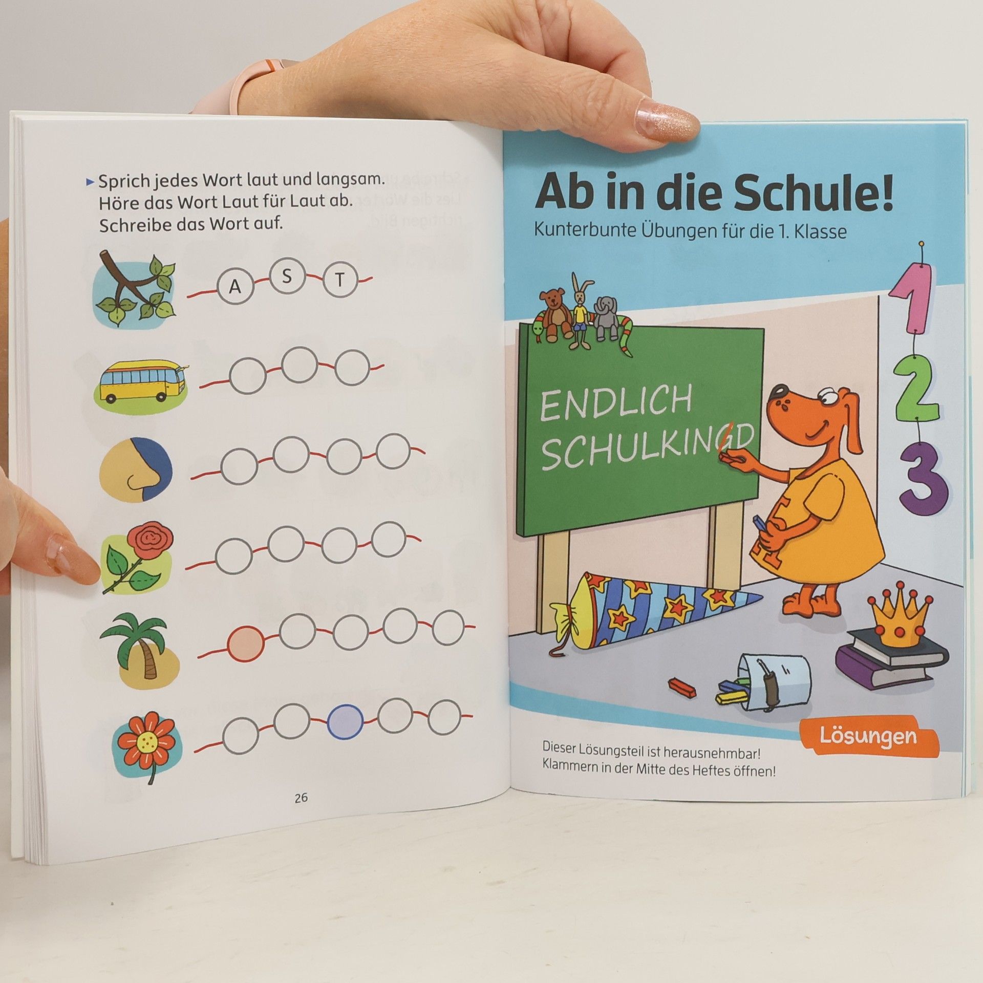 kolektiv Ab in die Schule!