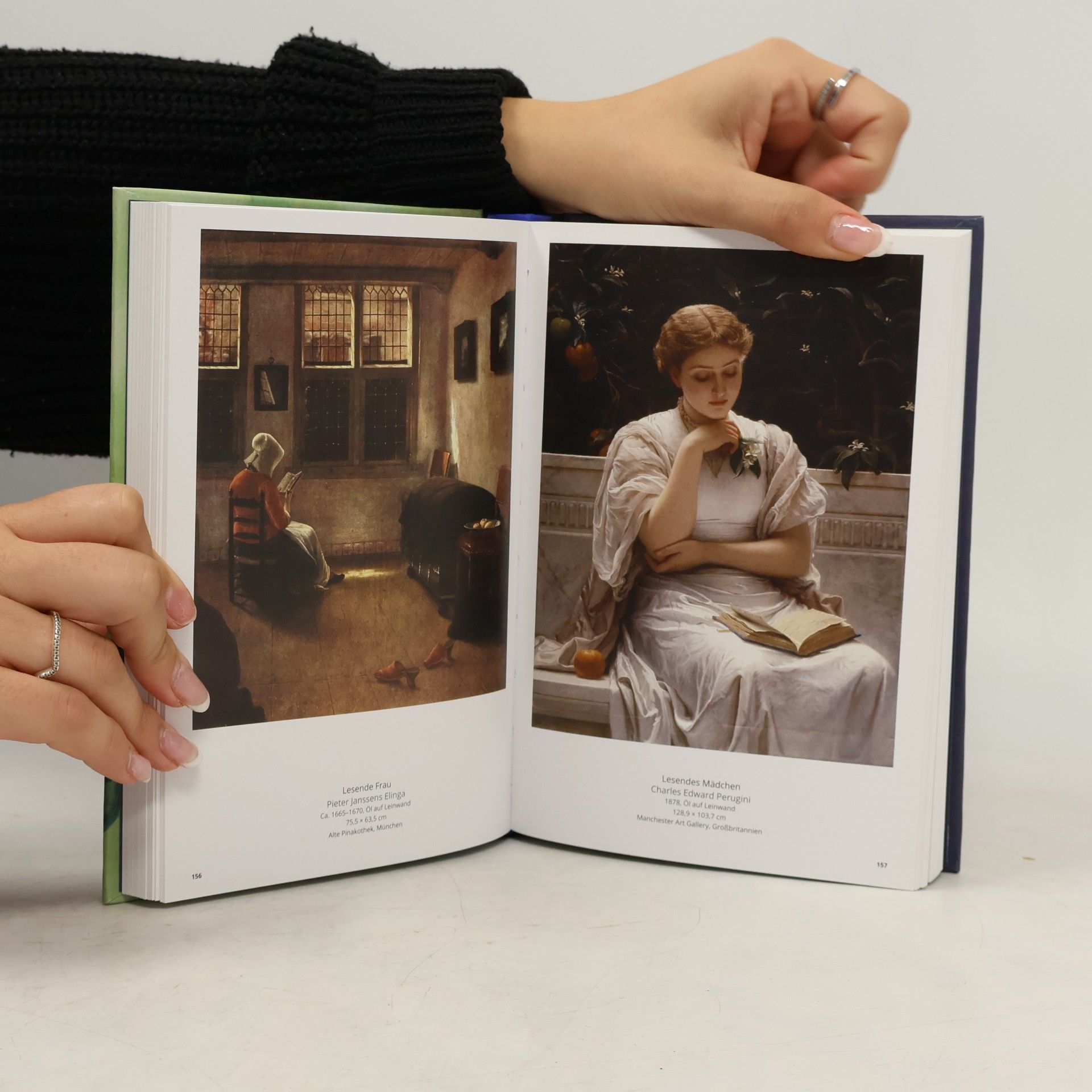 David Trigg Die Kunst zu lesen