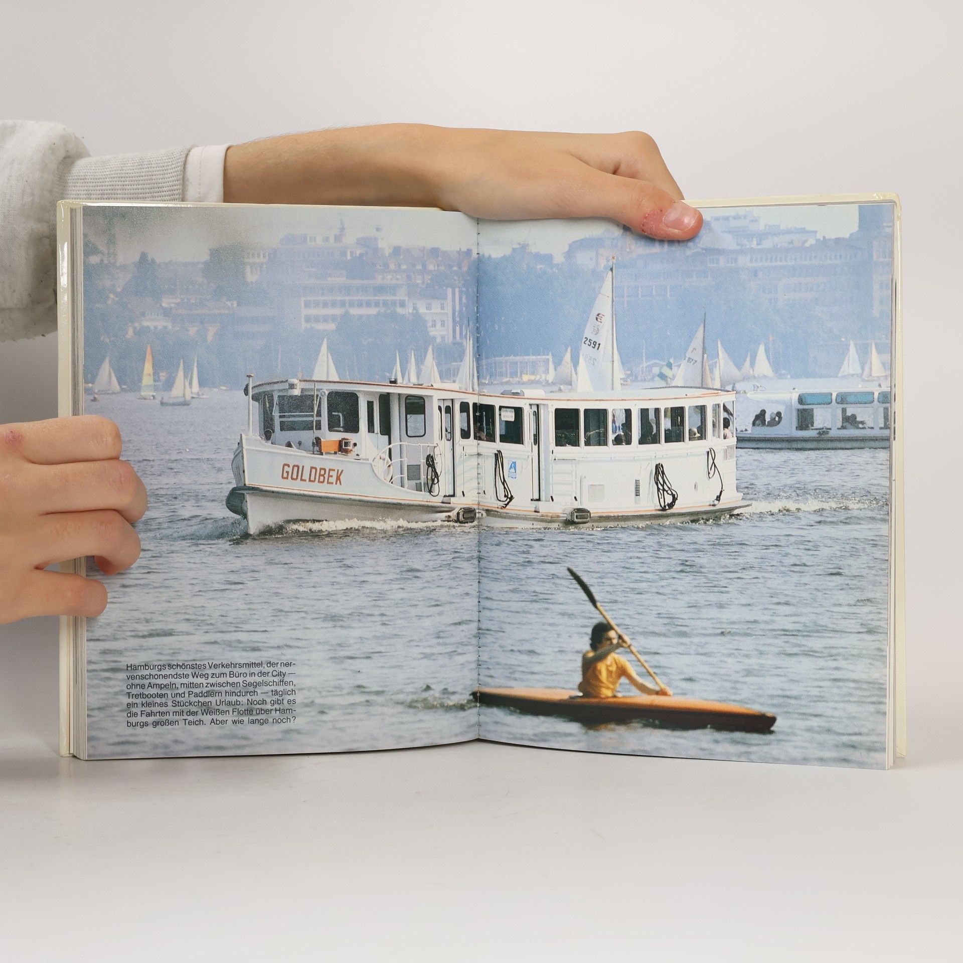 Autorenkollektiv Hamburg 82: Porträt einer Weltstadt