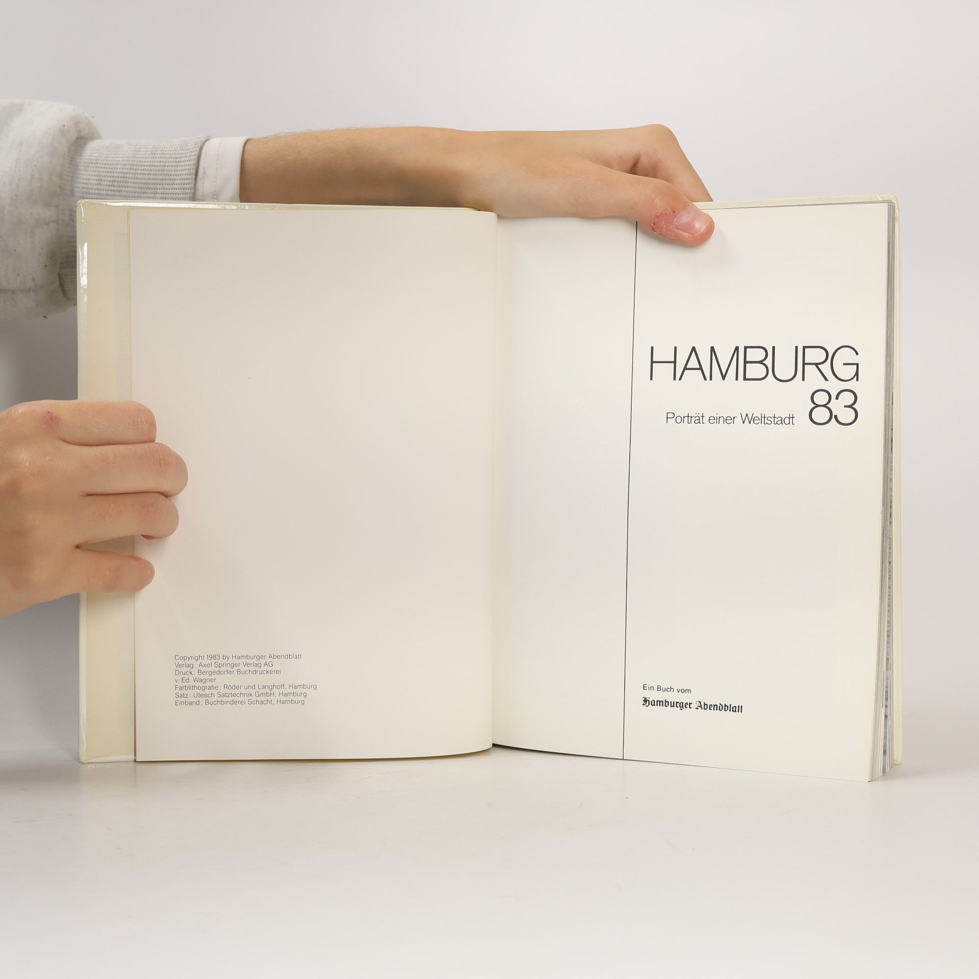 Autorenkollektiv Hamburg 82: Porträt einer Weltstadt