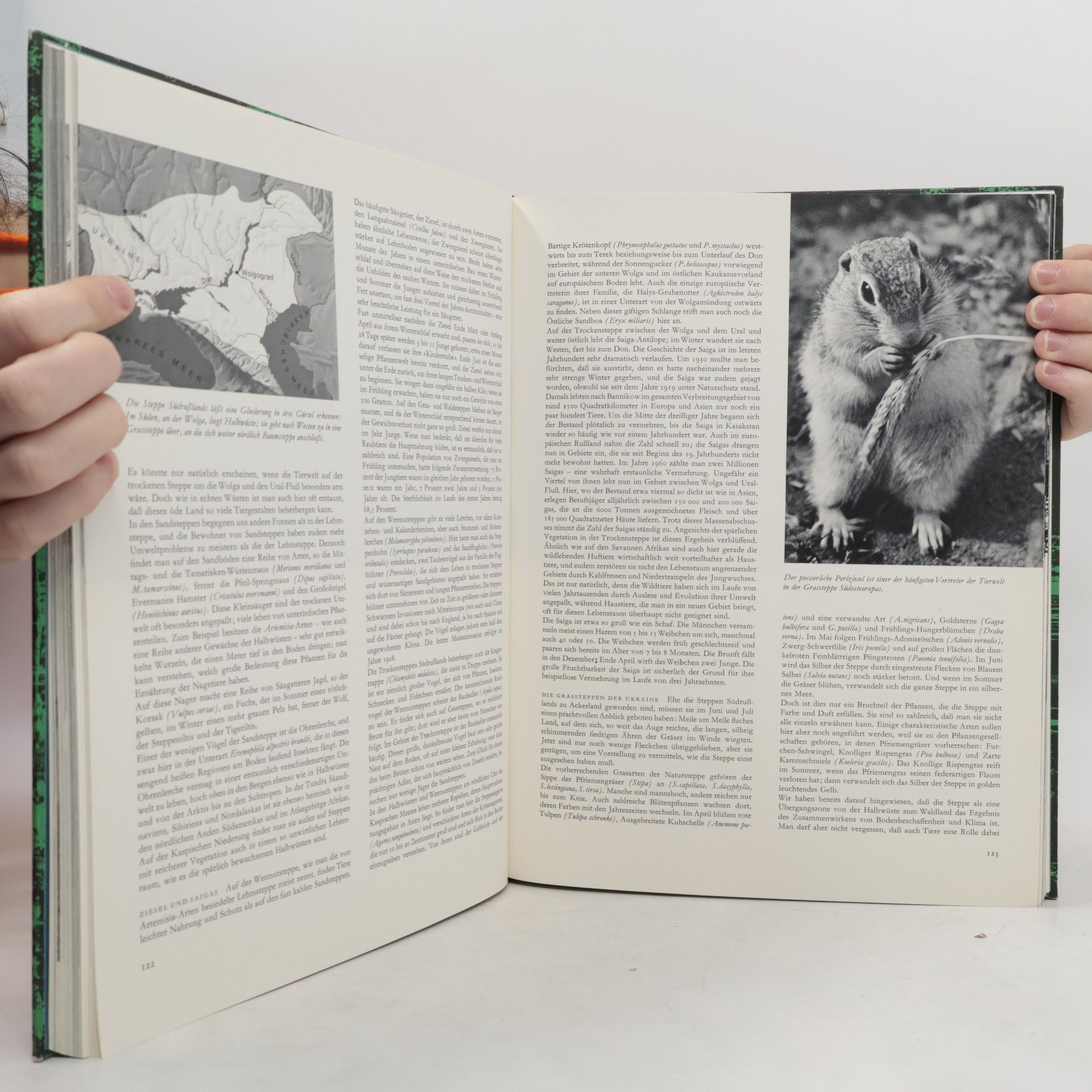Various authors Kontinente in farben EUROPA