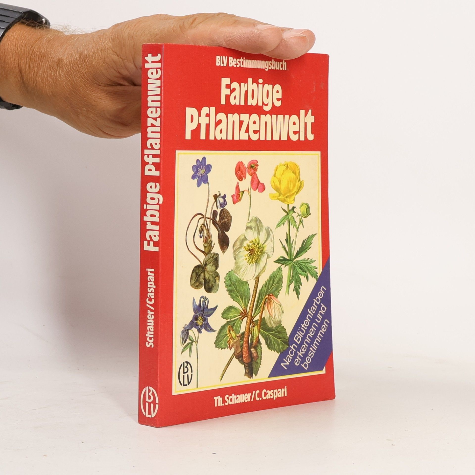 Thomas Schauer Farbige Pflanzenwelt