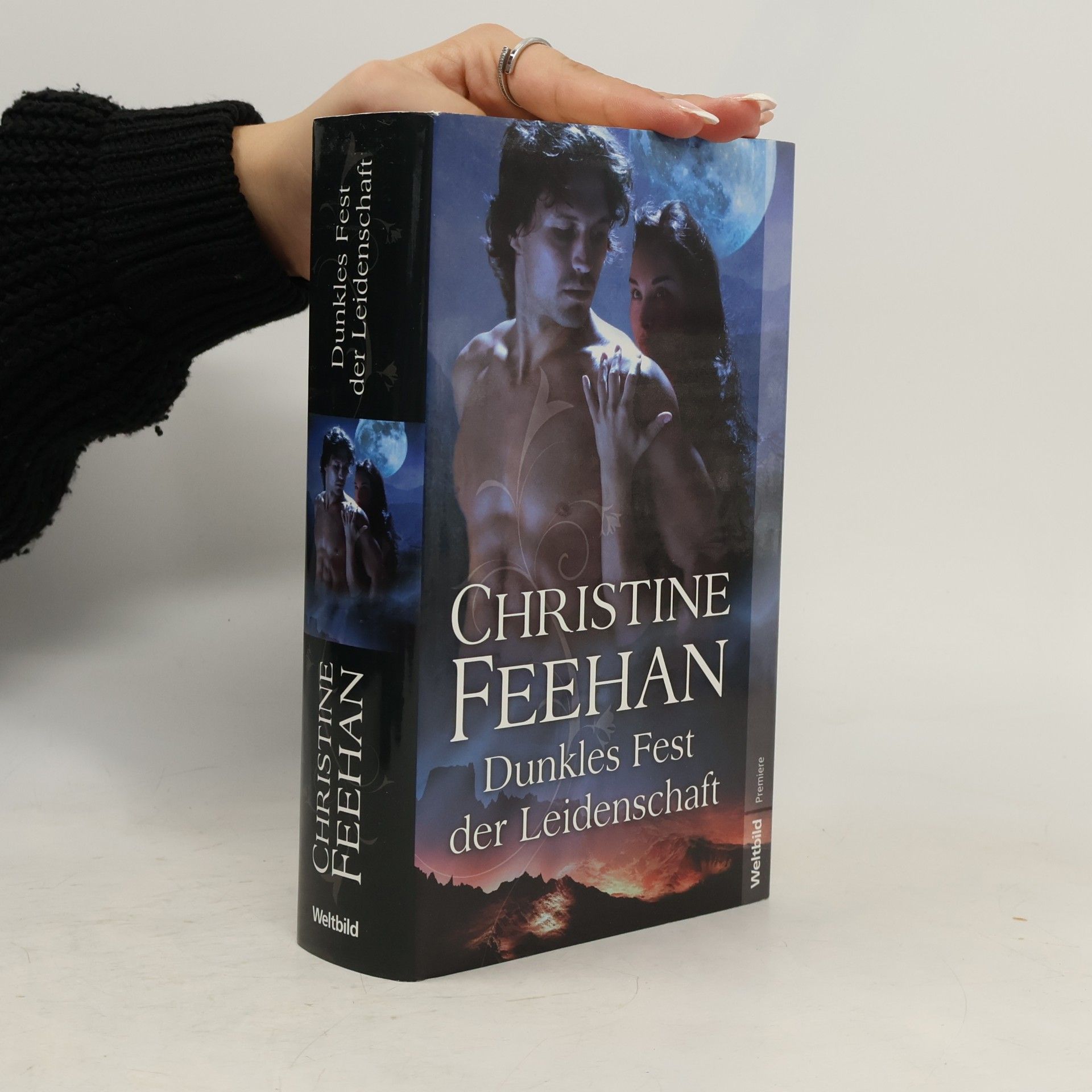 Christine Feehan Dunkles fest der leidenschaft
