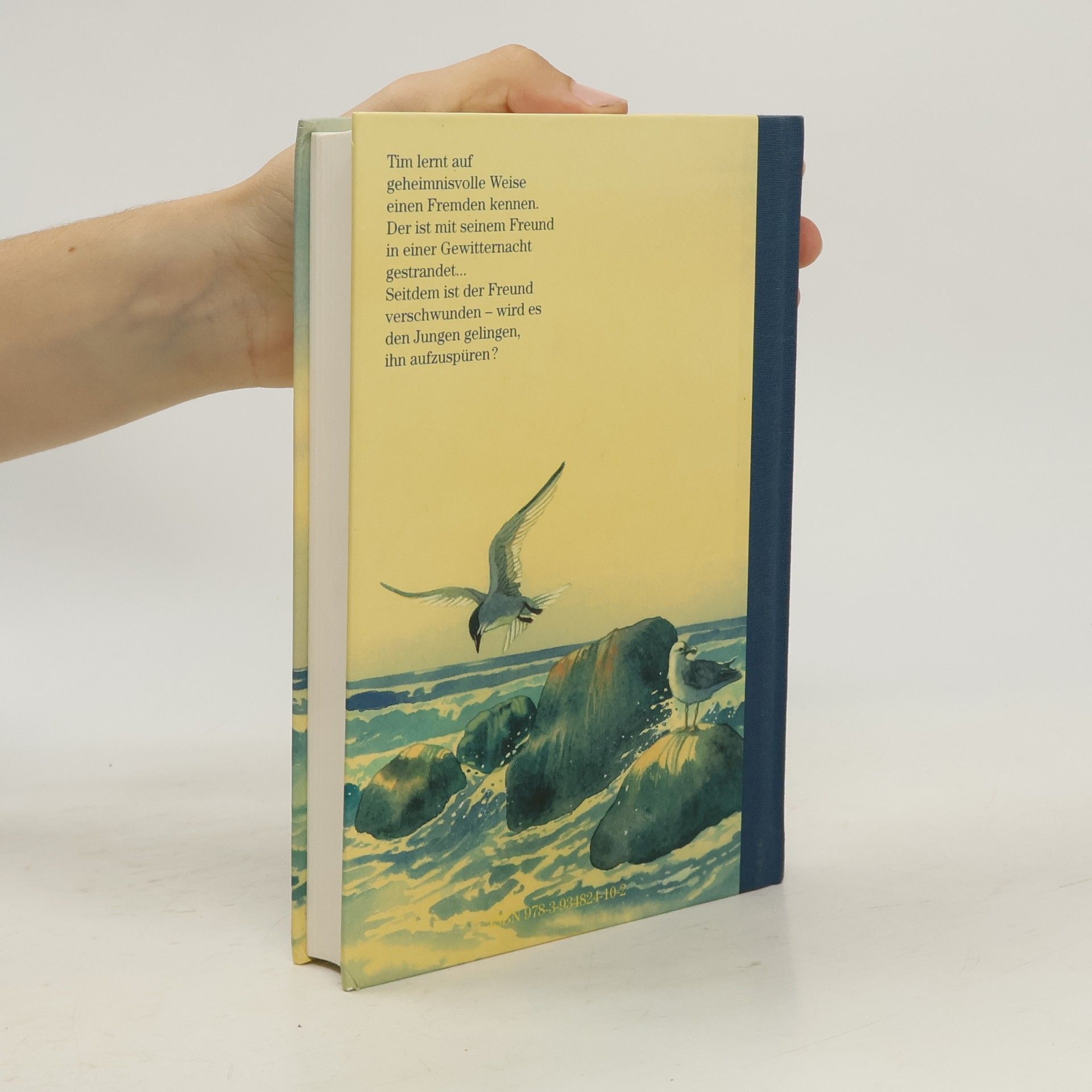 Marianne Haake Tim und die Fremden