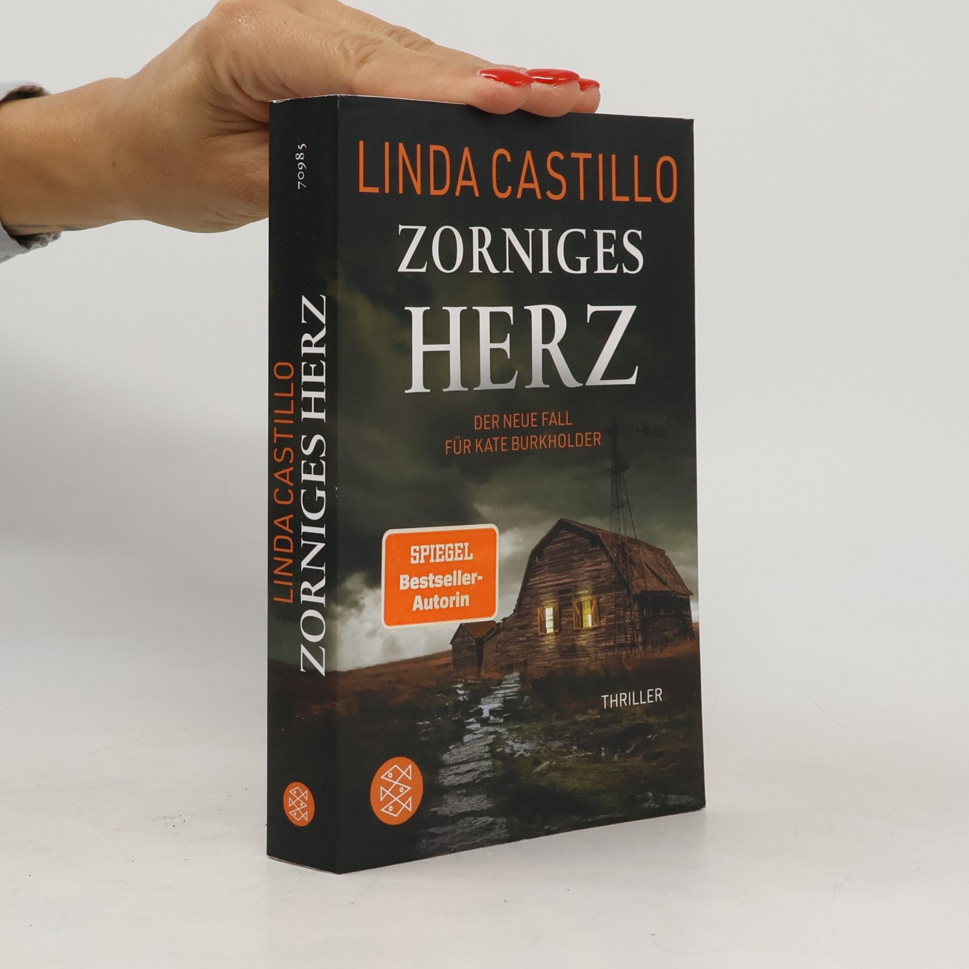 Linda Castillo Zorniges Herz