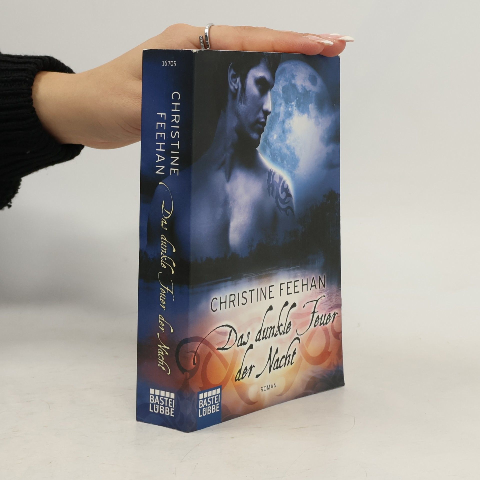 Christine Feehan Das dunkle Feuer der Nacht