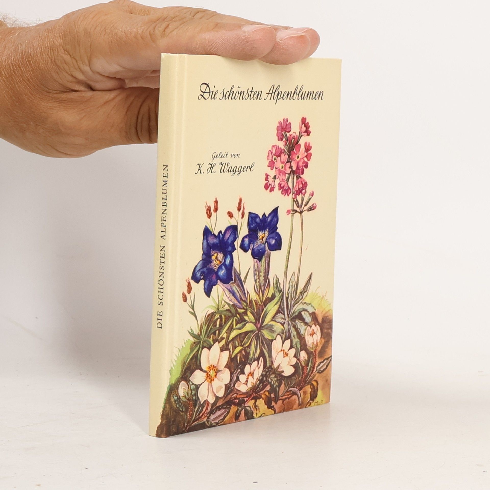 Die schönsten Alpenblumen