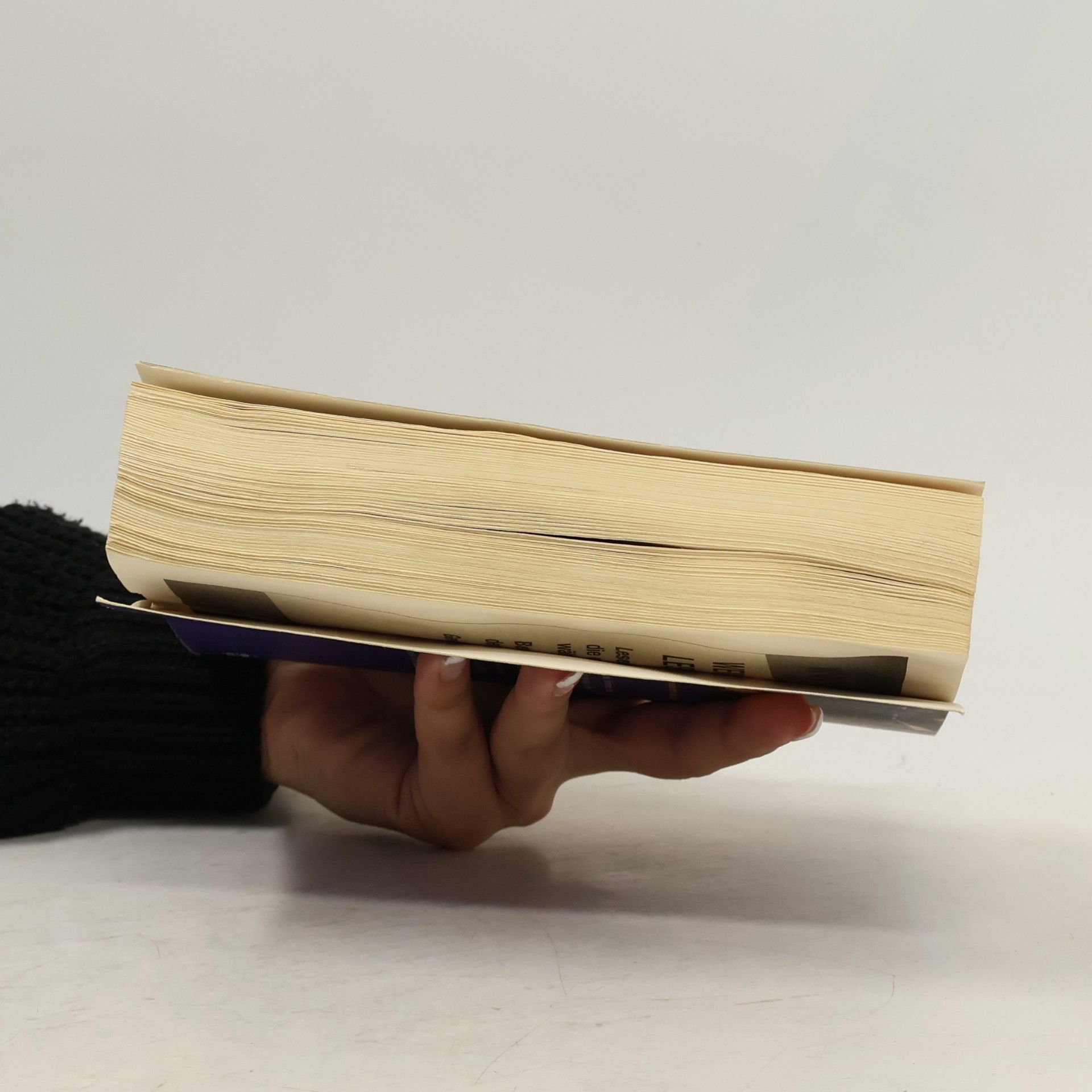 Christine Feehan Dunkle Sehnsucht des Verlangens