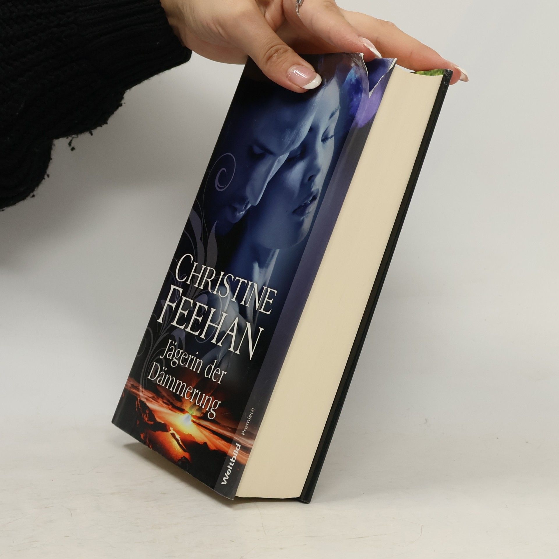 Christine Feehan Jägerin der Dämmerung