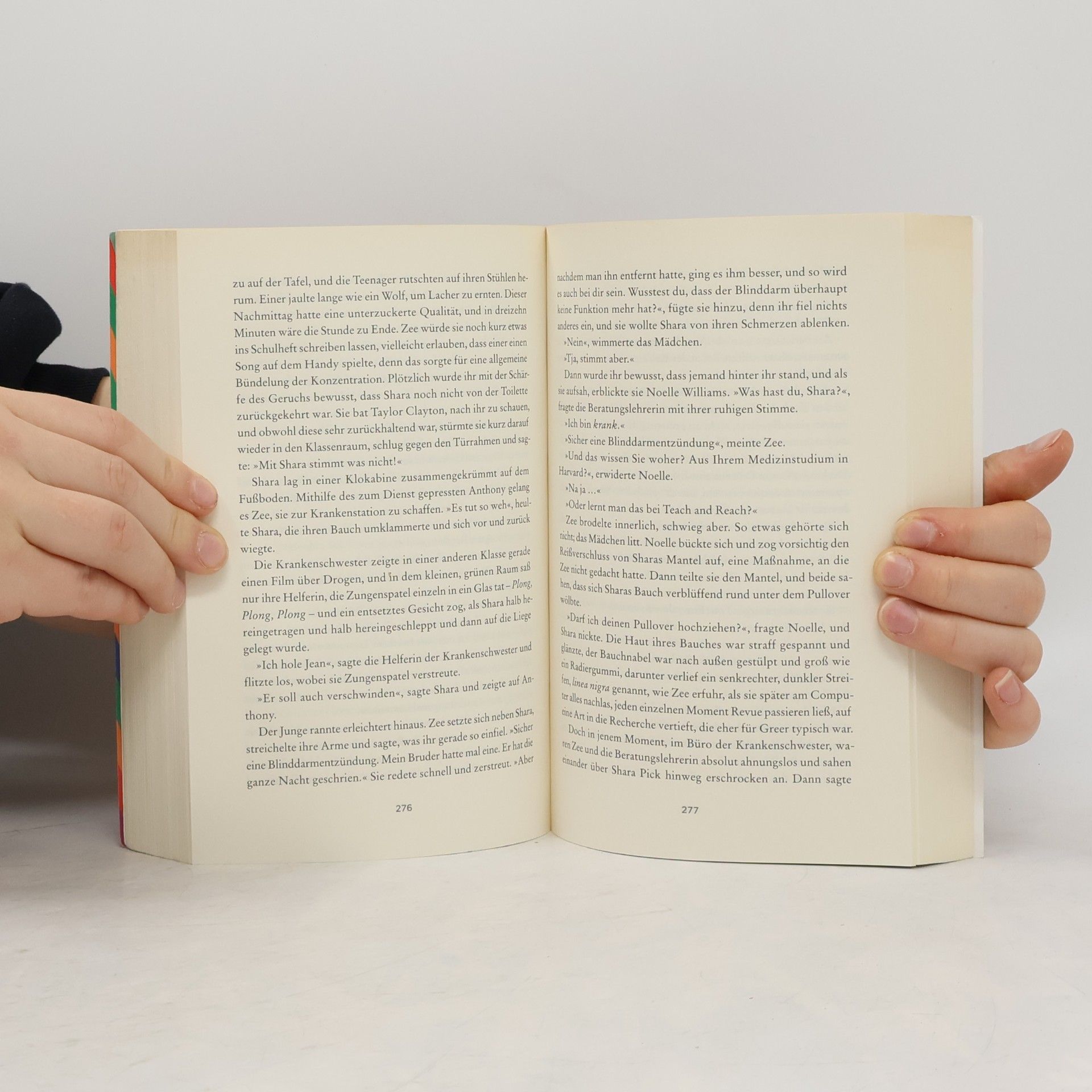 Meg Wolitzer Das weibliche Prinzip