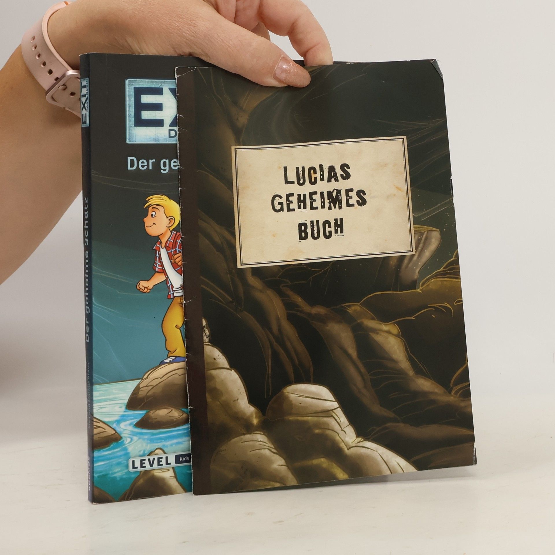 Anna Maybach EXIT - das Buch: der geheime Schatz