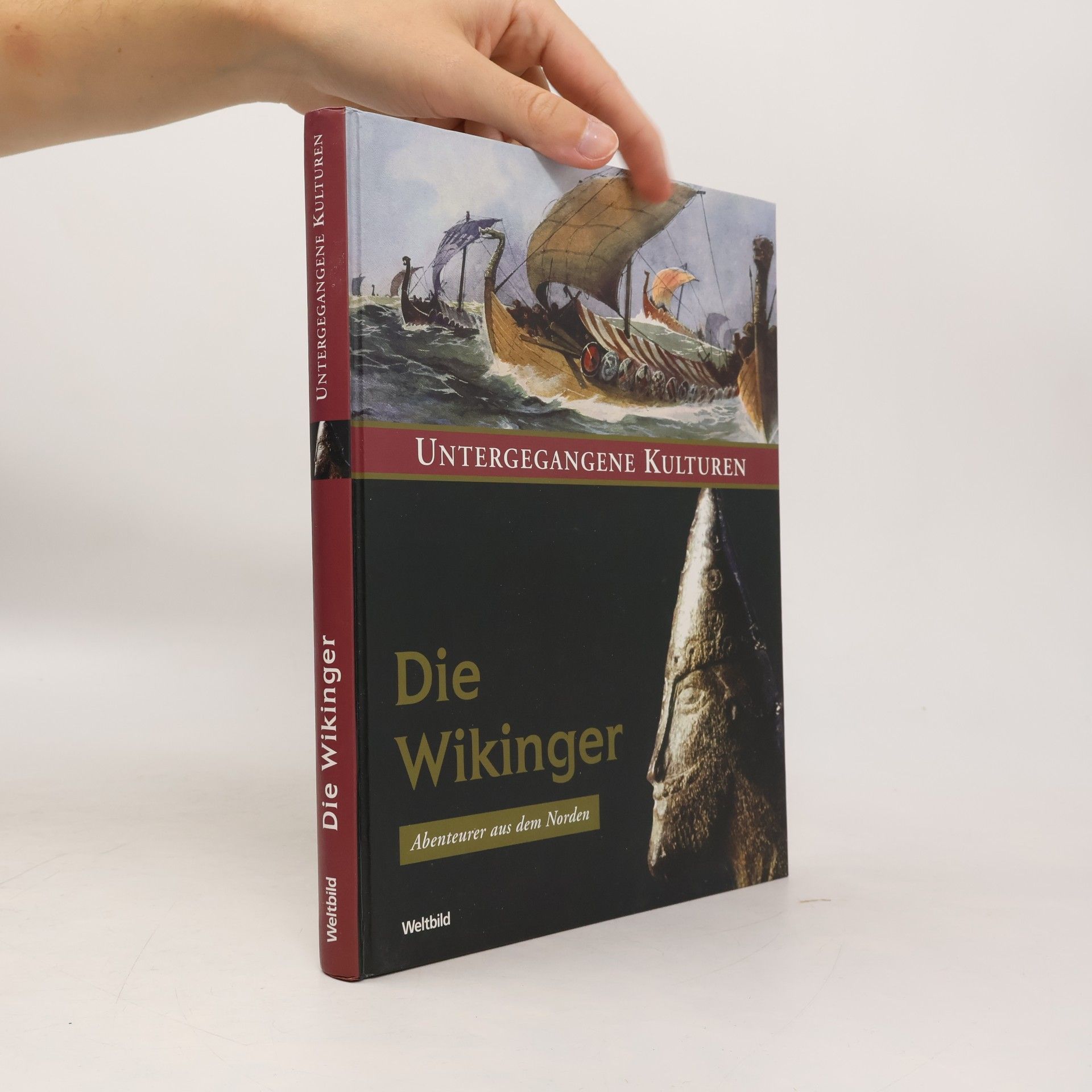 Collectif d'auteurs Die Wikinger