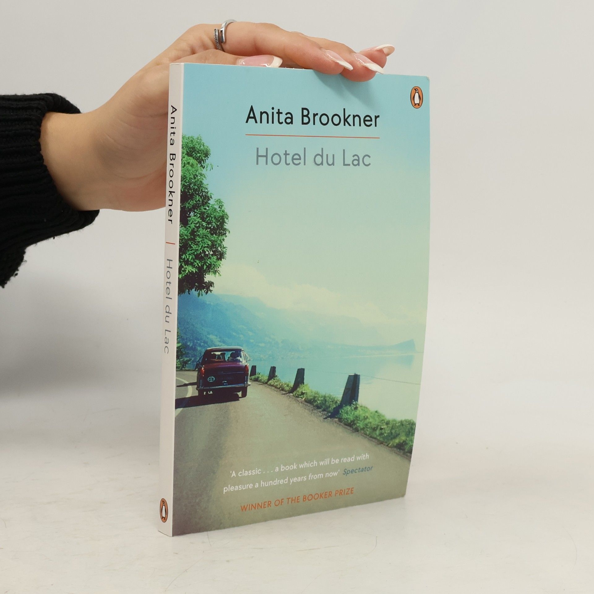 Anita Brookner Hotel du Lac