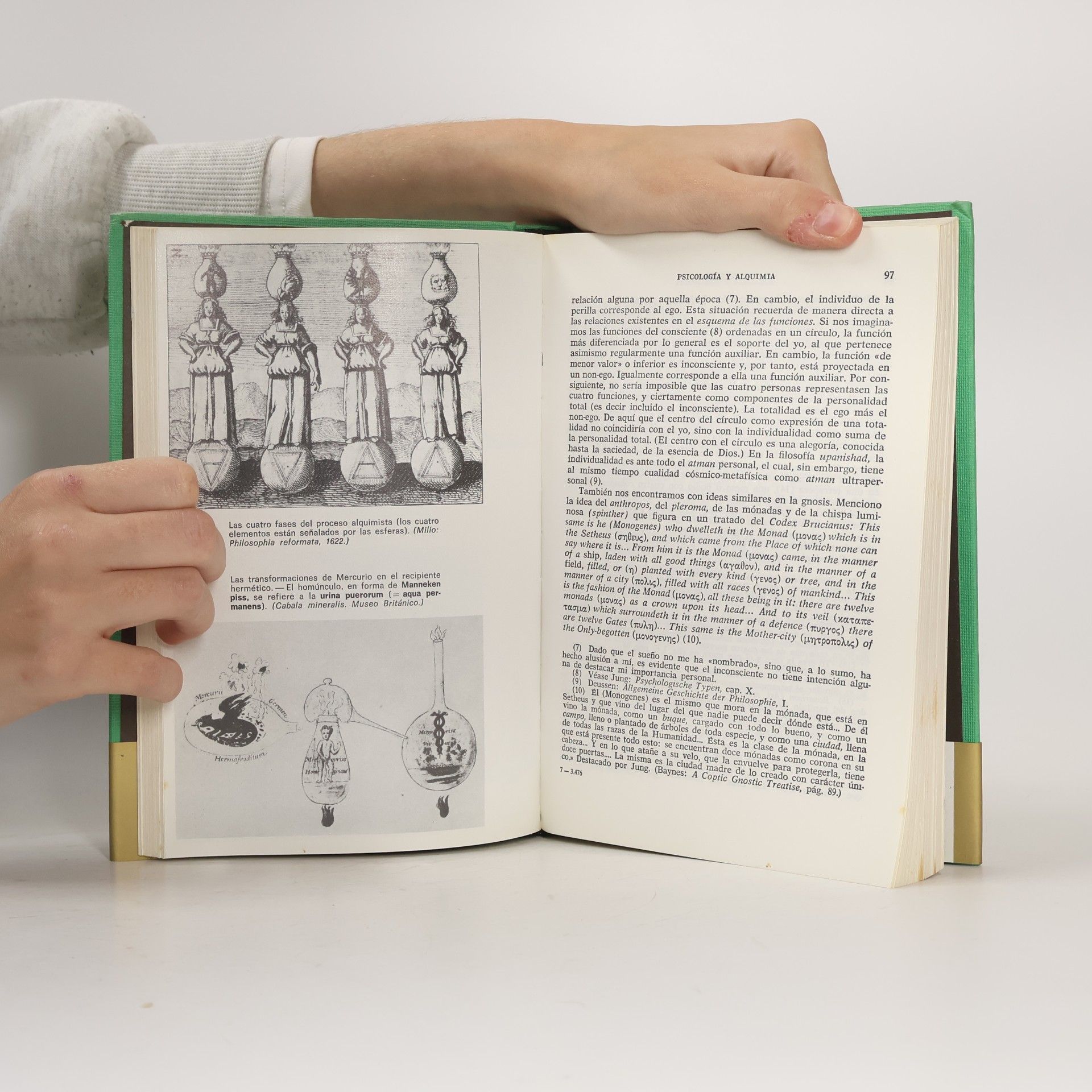 Carl Jung Psychologie und Alchemie