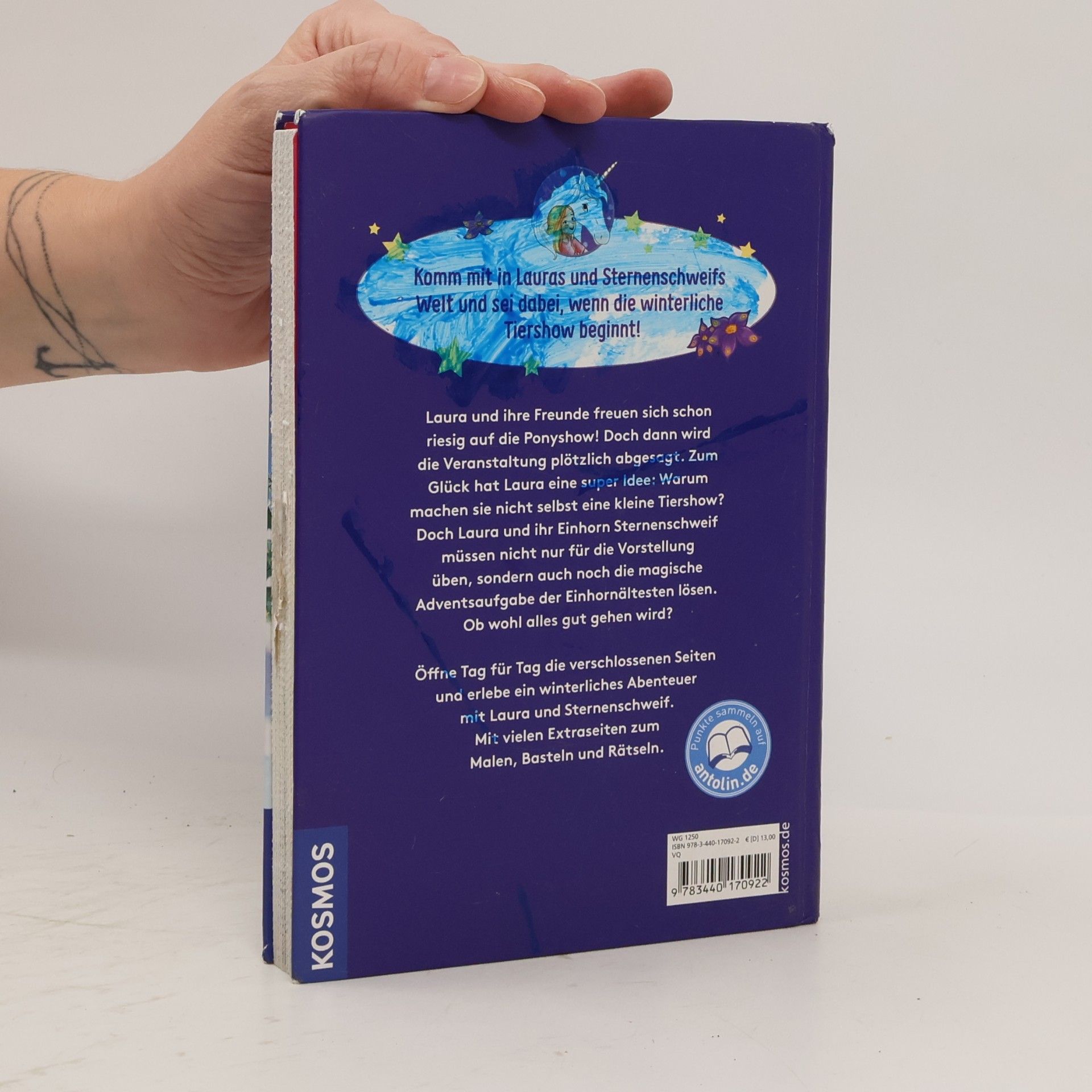 Linda Champan Sternenschweif Adventskalender. Der Mutmach-Zauber