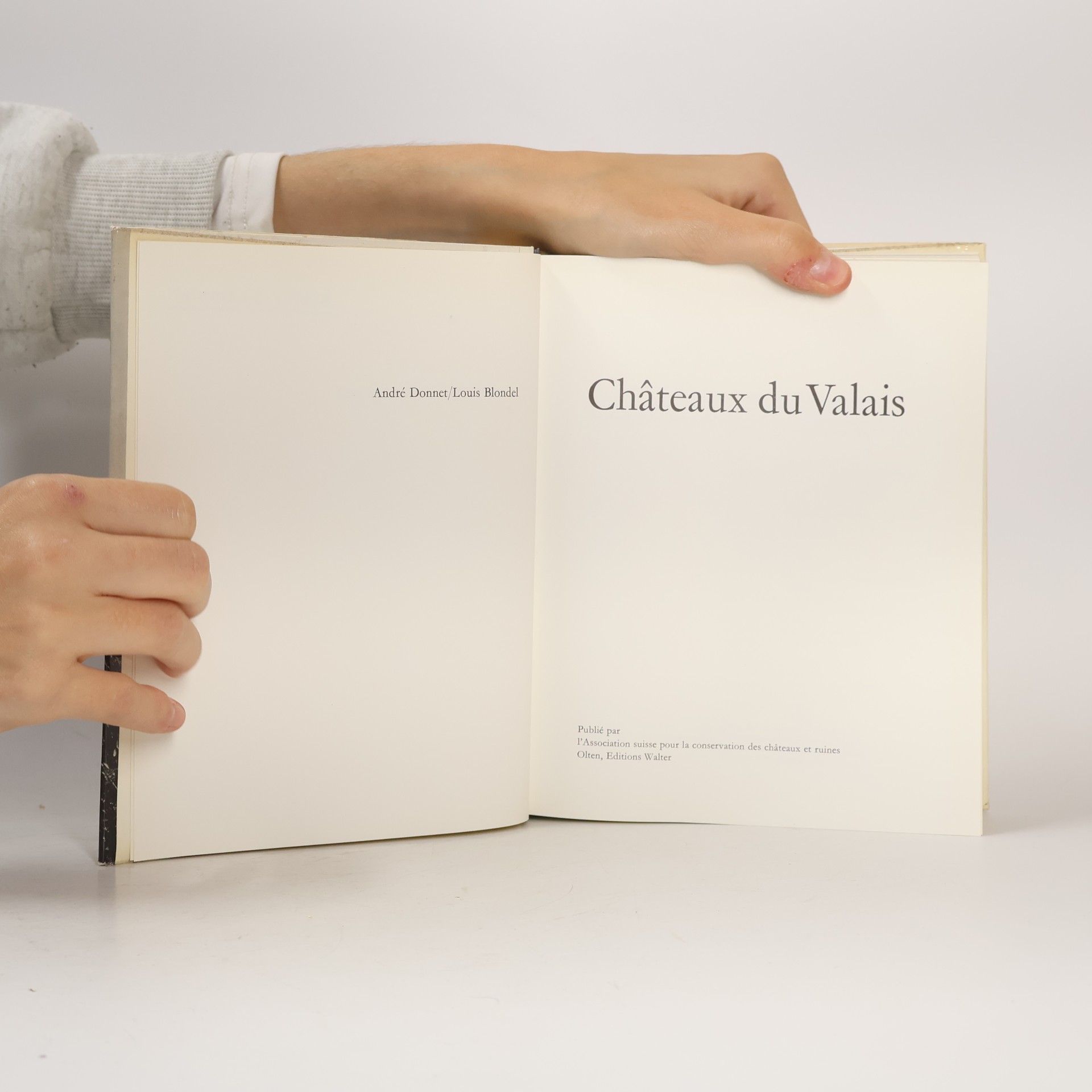 Donnet Châteaux du Valais