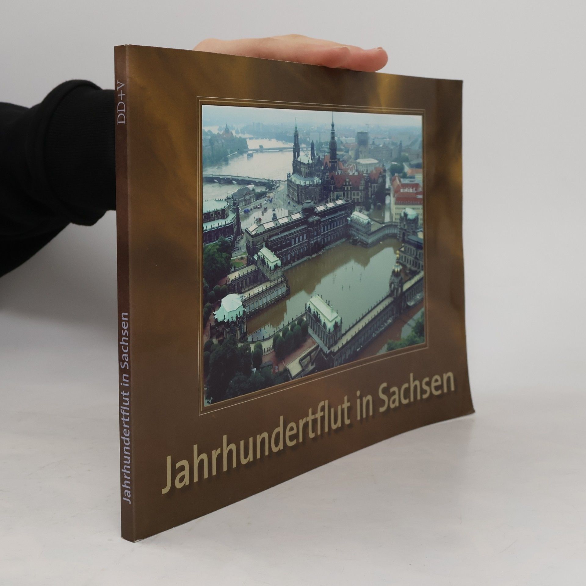 Monika Dänhardt Jahrhundertflut in Sachsen