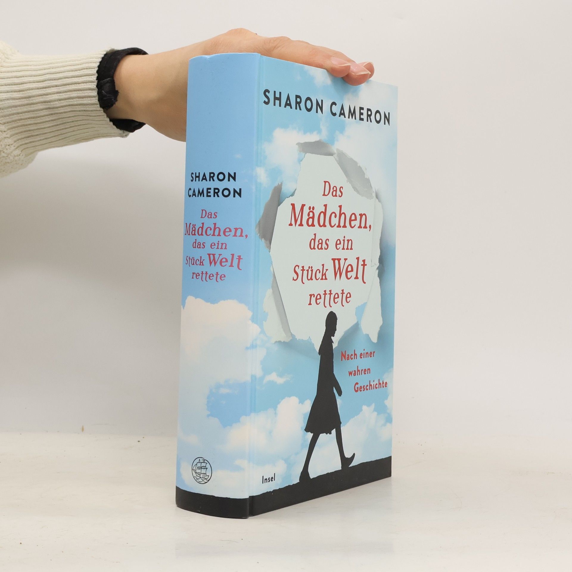 Sharon Cameron Das Mädchen, das ein Stück Welt rettete