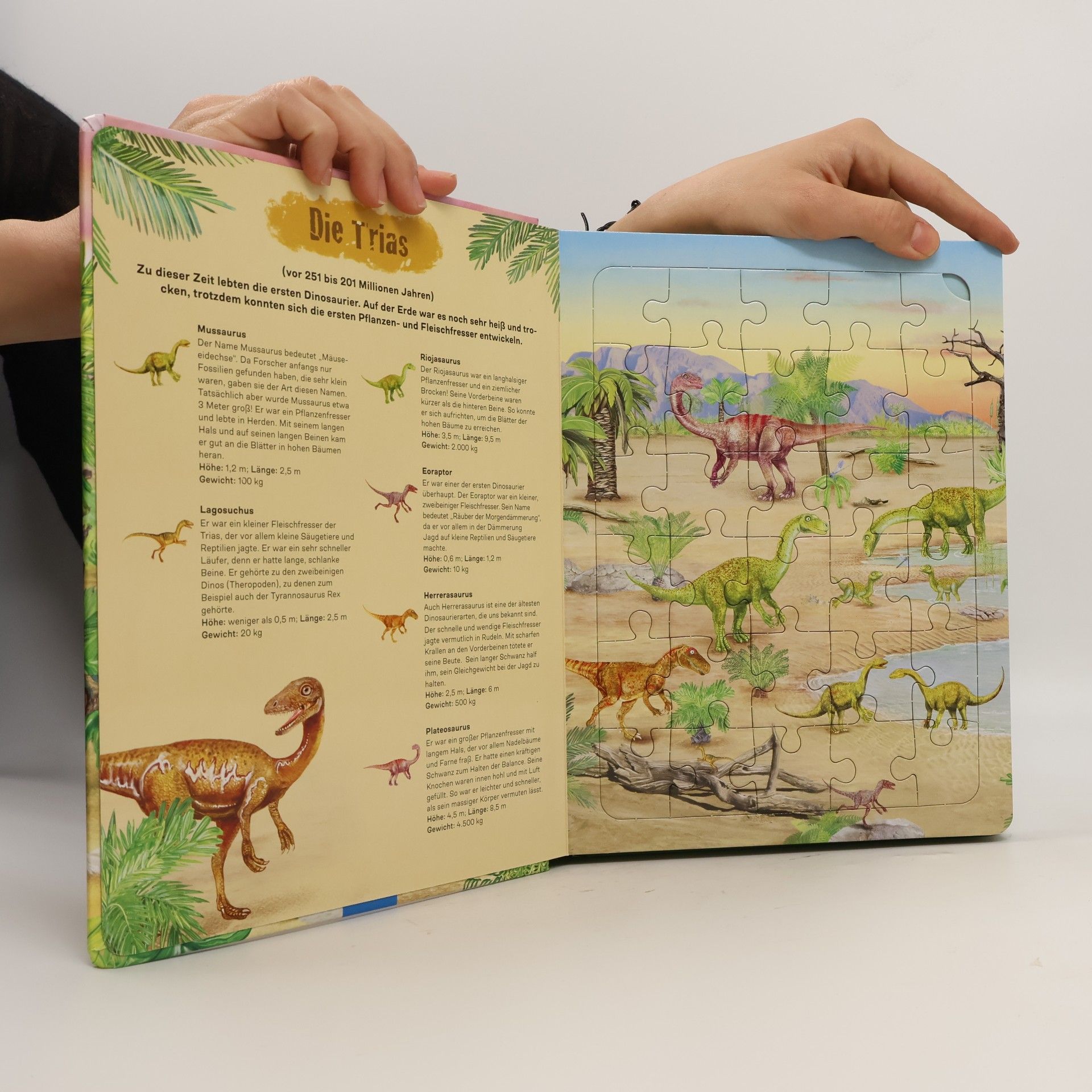 kolektiv TRÖTSCH - Pappenbuch Puzzlebuch Dinosaurier| Ab 3 Jahren