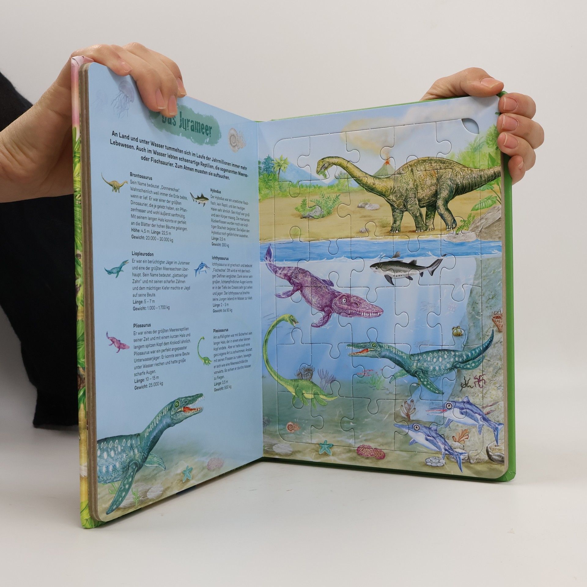 kolektiv TRÖTSCH - Pappenbuch Puzzlebuch Dinosaurier| Ab 3 Jahren